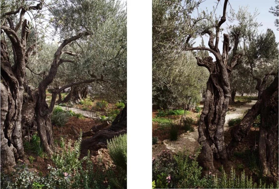 REVISITED – Christof Klute | Cons Arc Galleria | Chiasso