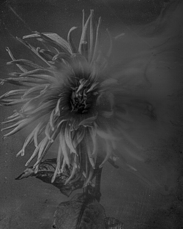 Echtzeit - Dirk Braeckman | FOMU – Fotomuseum Antwerpen