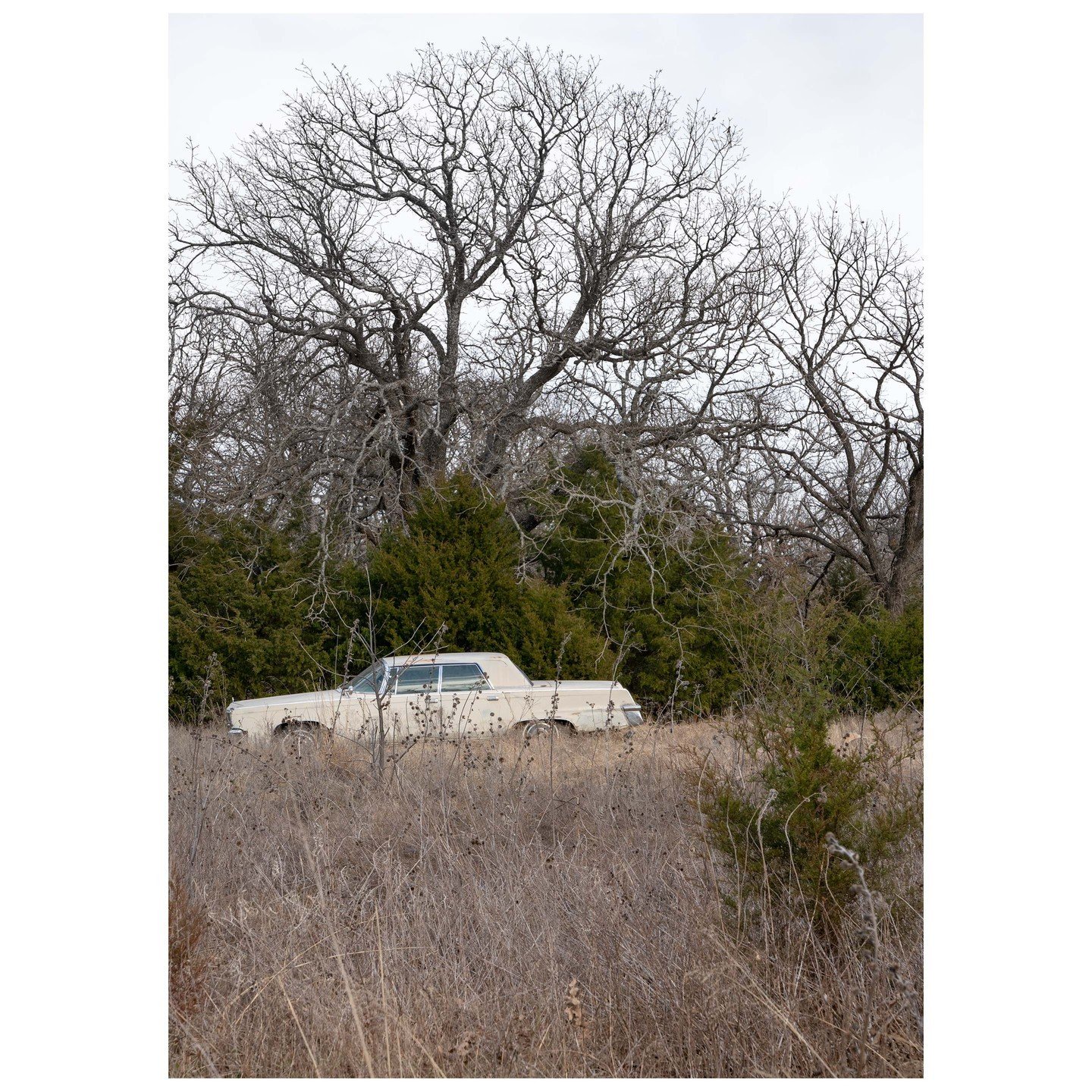 White Chrysler Imperial Crown 1964-66 &copy; Ute Behrend

Cars and Cows &ndash; oder was haben Autos und Rinder f&uuml;r Gemeinsamkeiten? Die aufgenommenen Cars sind Oldtimer und die dokumentierten Rinder sind spezielle Rassen, die nicht geeignet sin