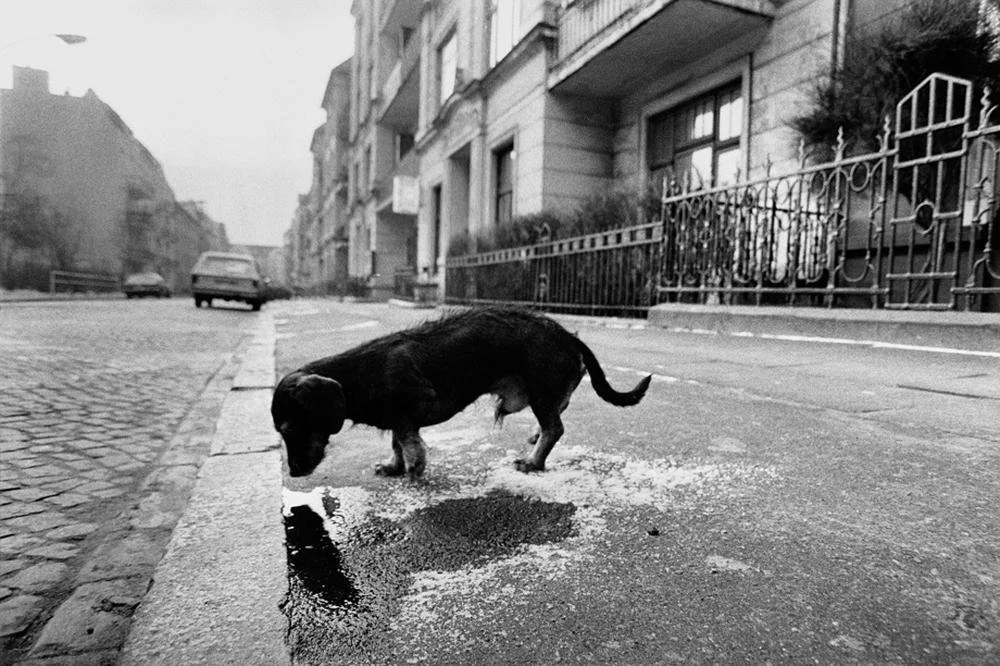 In memoriam: Michael Ruetz…