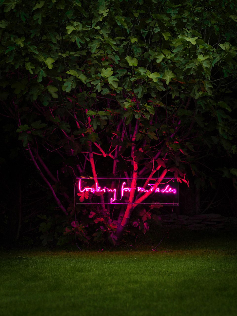 Looking for miracles…