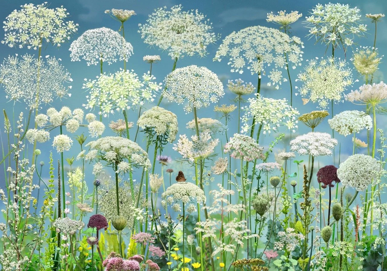 Ruud van Empel | CAMERA WORK | Berlin