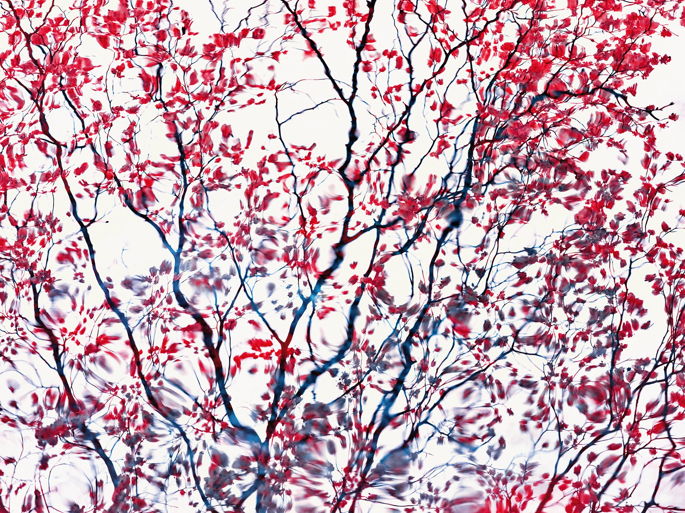 Zak van Biljon. Modernising Nature | Galerie 94 | Baden