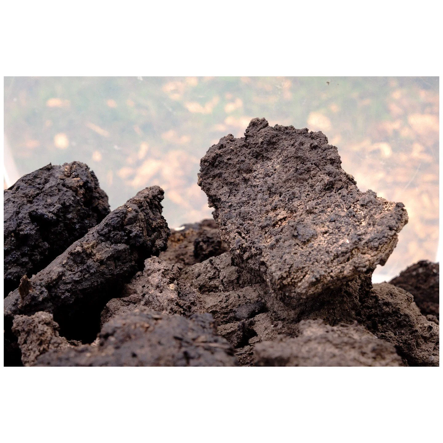 Torf &copy; Ursula Palla

Locker geschichtete, getrocknete Torfziegel formen Objekte, die an T&uuml;rme oder Schornsteine erinnern. Sie stehen f&uuml;r den Abbau von Torf zur Energiegewinnung und D&uuml;ngung seit den letzten 200 Jahren.

Durch ihre 