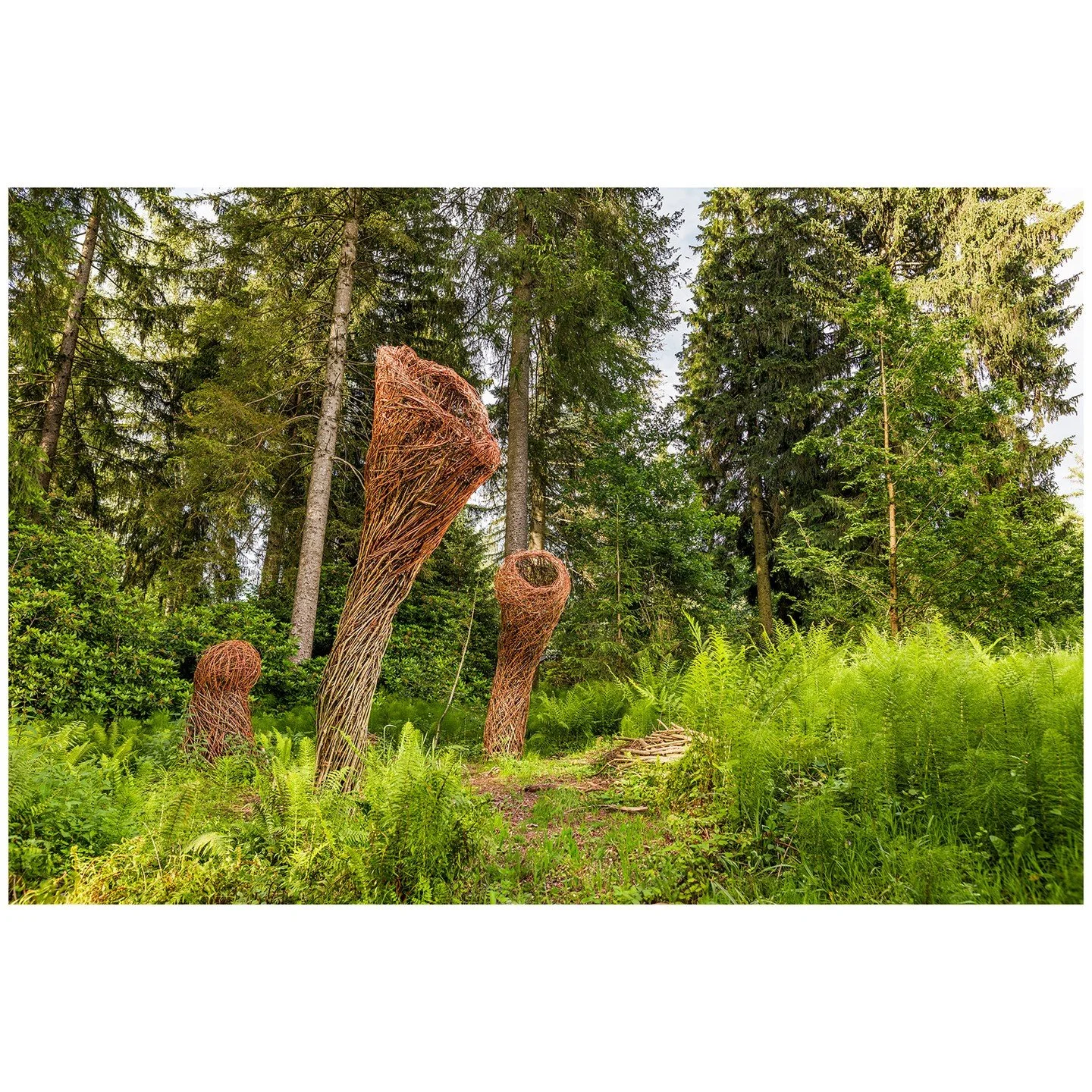 Moorgeheiminis &copy; Hochhinaus

Inmitten der paradiesischen Pflanzenpracht erhebt sich aus der Tiefe der Zugang zur Unterwelt, coconartig t&uuml;rmt er sich auf und verbindet das Untenmit dem Oben.

Hier kommen die Geheimnisse des Moors an die Ober