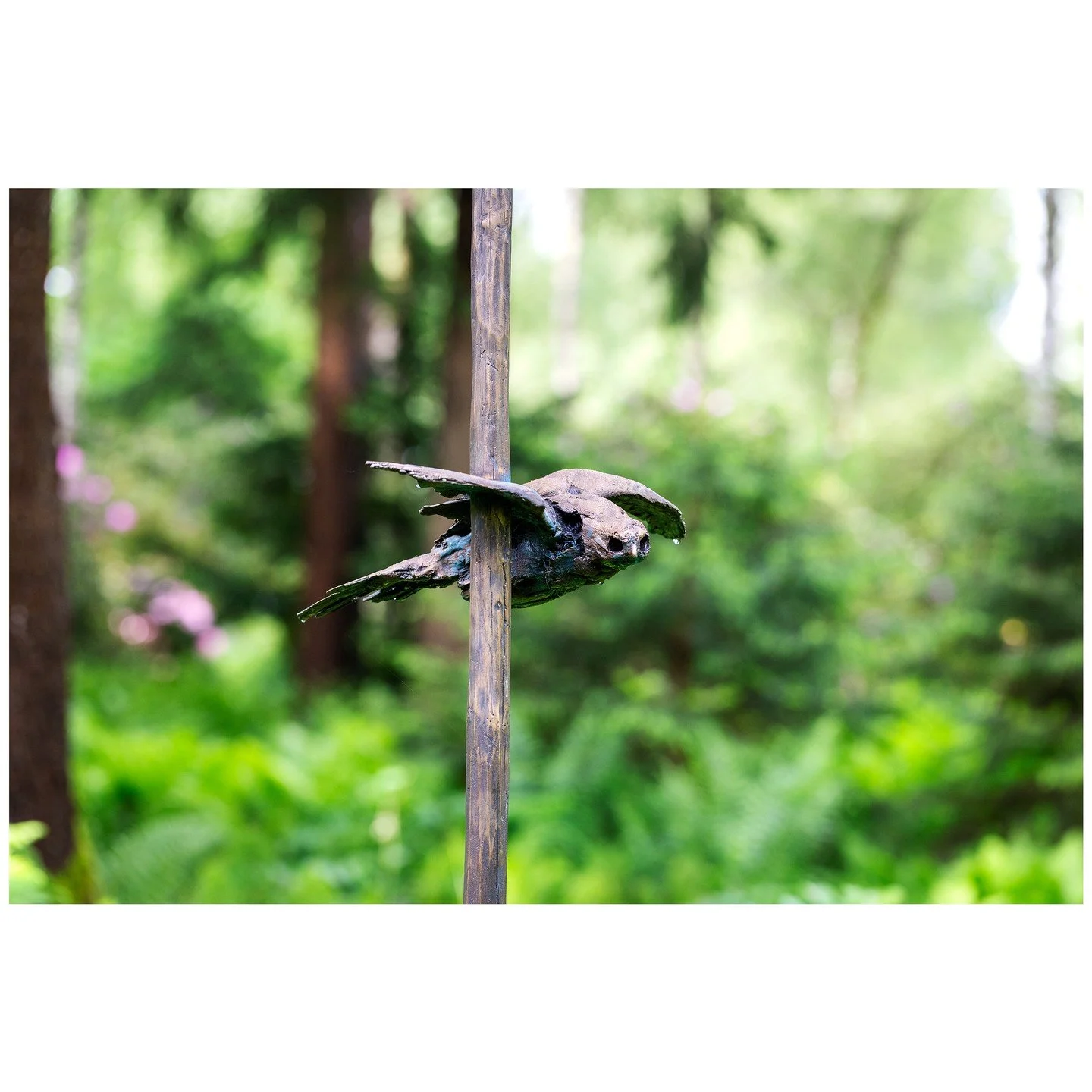 Flight (lead line) III &copy; Julia Steiner

Ein Vogelpr&auml;parat eines Falken wurde im Gussverfahren der verlorenen Form einmalig massiv in Bronze gegossen. Eine ebenfalls in Bronze gegossene Bohnenstange durchdringt den Fl&uuml;gel des Vogels im 