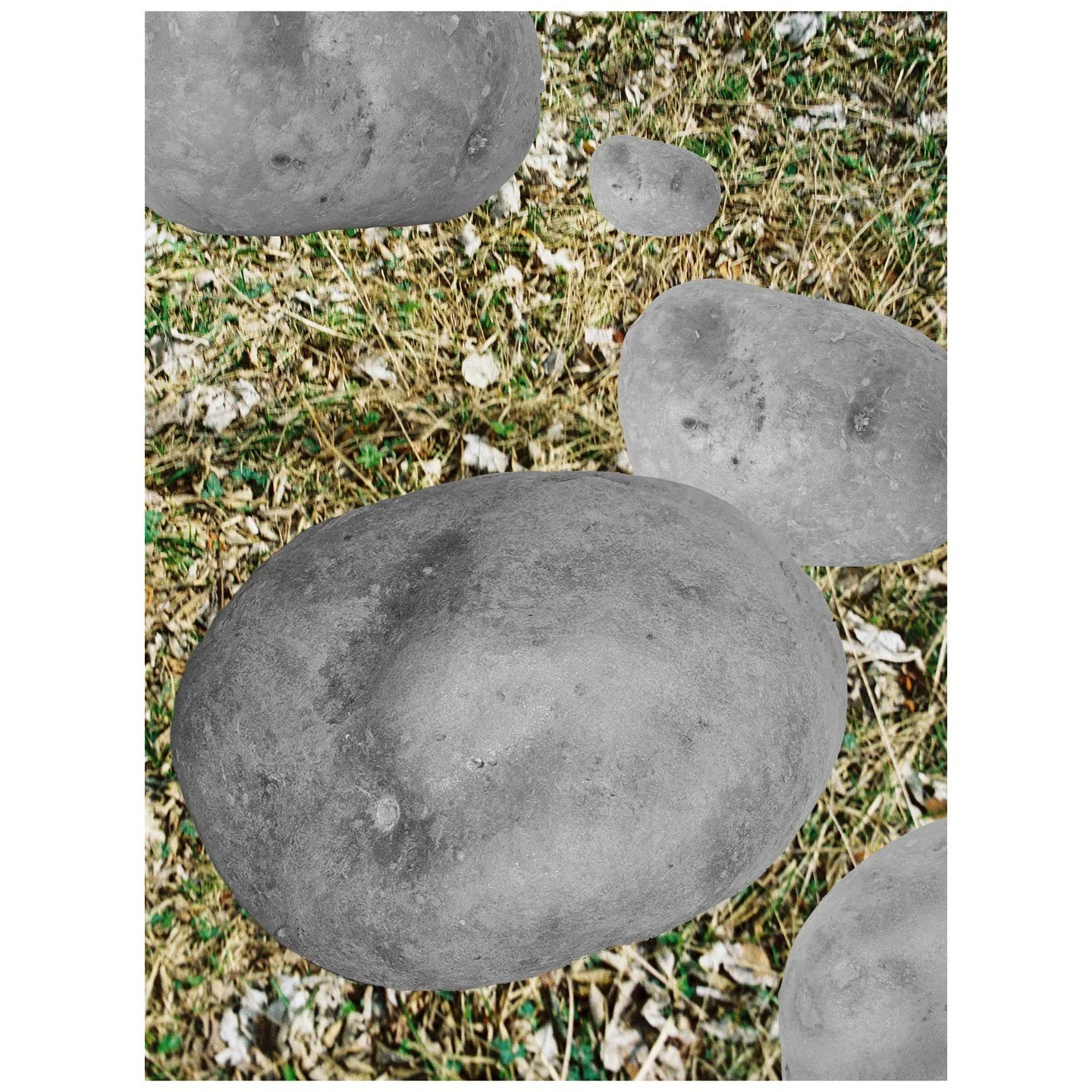 Kartoffel f&auml;llt auf Gras, Collage &copy; Franziska Martin

Extra Terra &ndash; eine tiefgr&uuml;ndige Reise in die faszinierende, alpine Vergangenheit des Tessins. Ausgehend von einem scheinbar bizarren Ph&auml;nomen &ndash; dem Anbau von Gem&uu