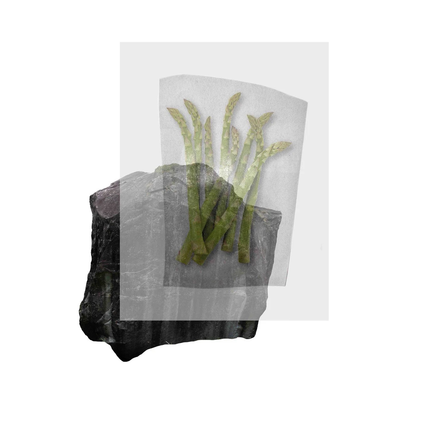 Fels und Spargel &copy; Franziska Martin

Extra Terra &ndash; eine tiefgr&uuml;ndige Reise in die faszinierende, alpine Vergangenheit des Tessins. Ausgehend von einem scheinbar bizarren Ph&auml;nomen &ndash; dem Anbau von Gem&uuml;se auf Felsbl&ouml;