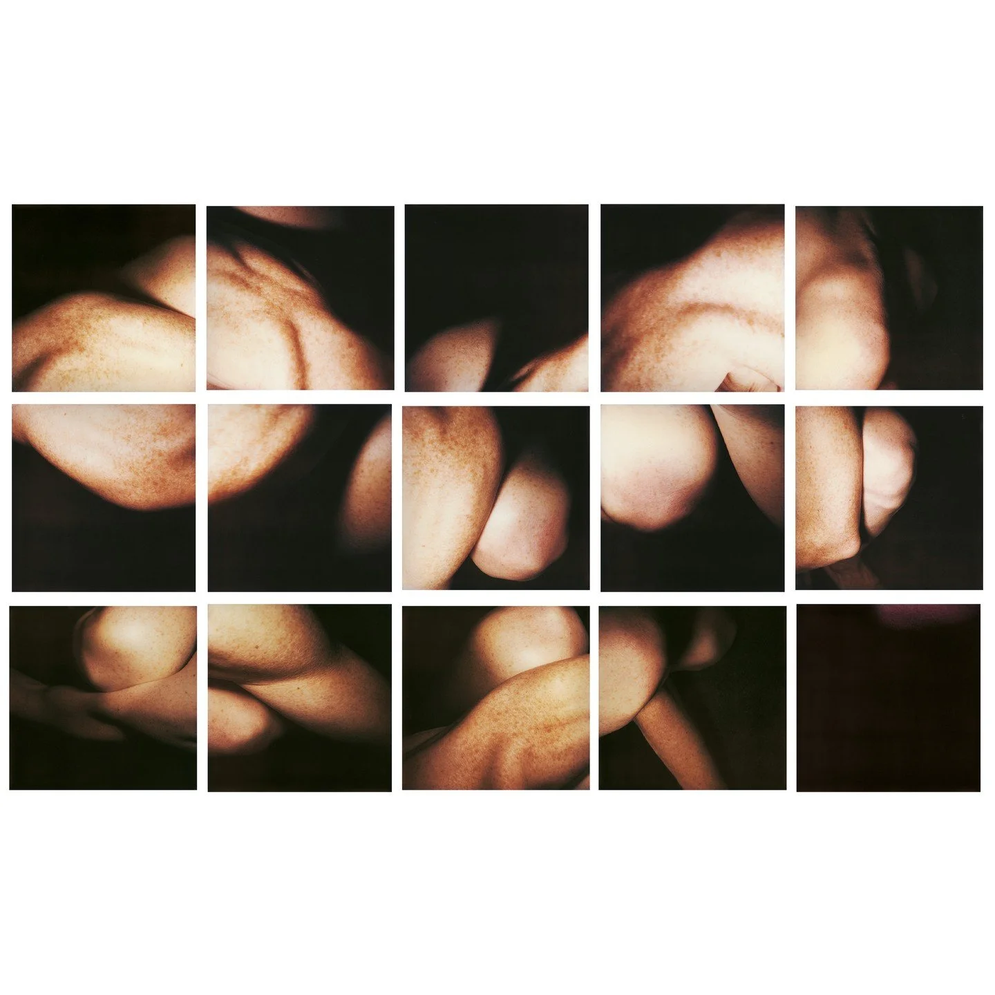 Hannah Villiger, Block XXXVI, 1994, f&uuml;nfzehn C-Prints, montiert auf Aluminium, 289 x 481 cm, Kunstmuseum St.Gallen, erworben vom Kunstverein St.Gallen 1996 &copy; Stiftung THE ESTATE OF HANNAH VILLIGER

Die Schweizer K&uuml;nstlerin Hannah Villi