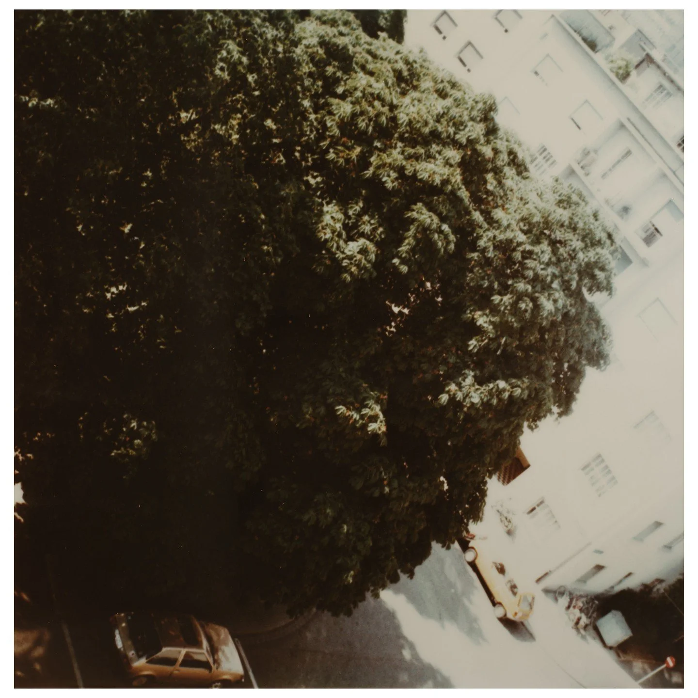 Hannah Villiger, Baum, 1984/85, C-Print, montiert auf Aluminium, 125 x 123 cm, Kunstmuseum St.Gallen, Schenkung aus dem Nachlass der K&uuml;nstlerin 2001 &copy; Stiftung THE ESTATE OF HANNAH VILLIGER

Die Schweizer K&uuml;nstlerin Hannah Villiger (19