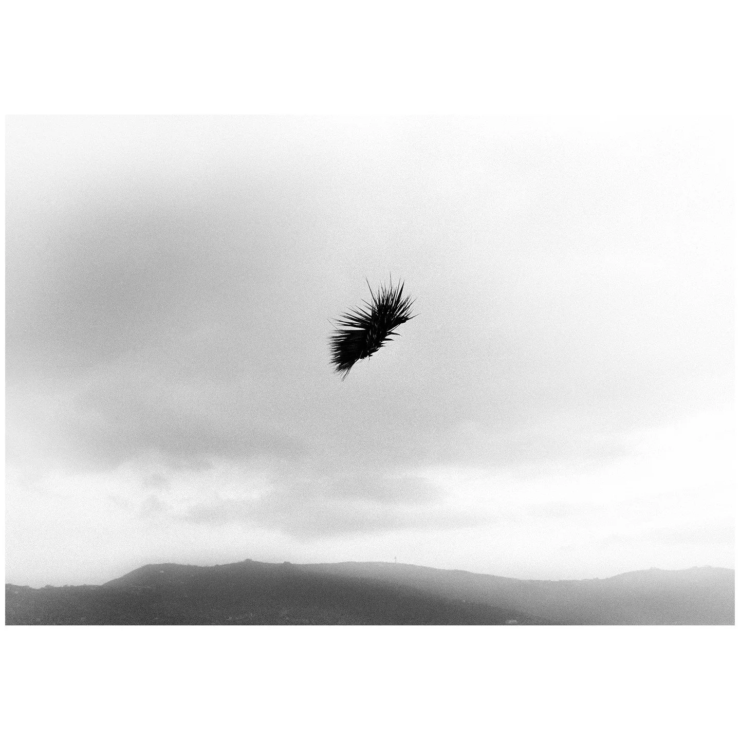 Hannah Villiger, Arbeit, 1975, Schwarz-Weiss Fotografie, 70 x 100 cm, Stiftung THE ESTATE OF HANNAH VILLIGER &copy; Stiftung THE ESTATE OF HANNAH VILLIGER

Die Schweizer K&uuml;nstlerin Hannah Villiger (1951&ndash;1997) verstand sich stets als Bildha