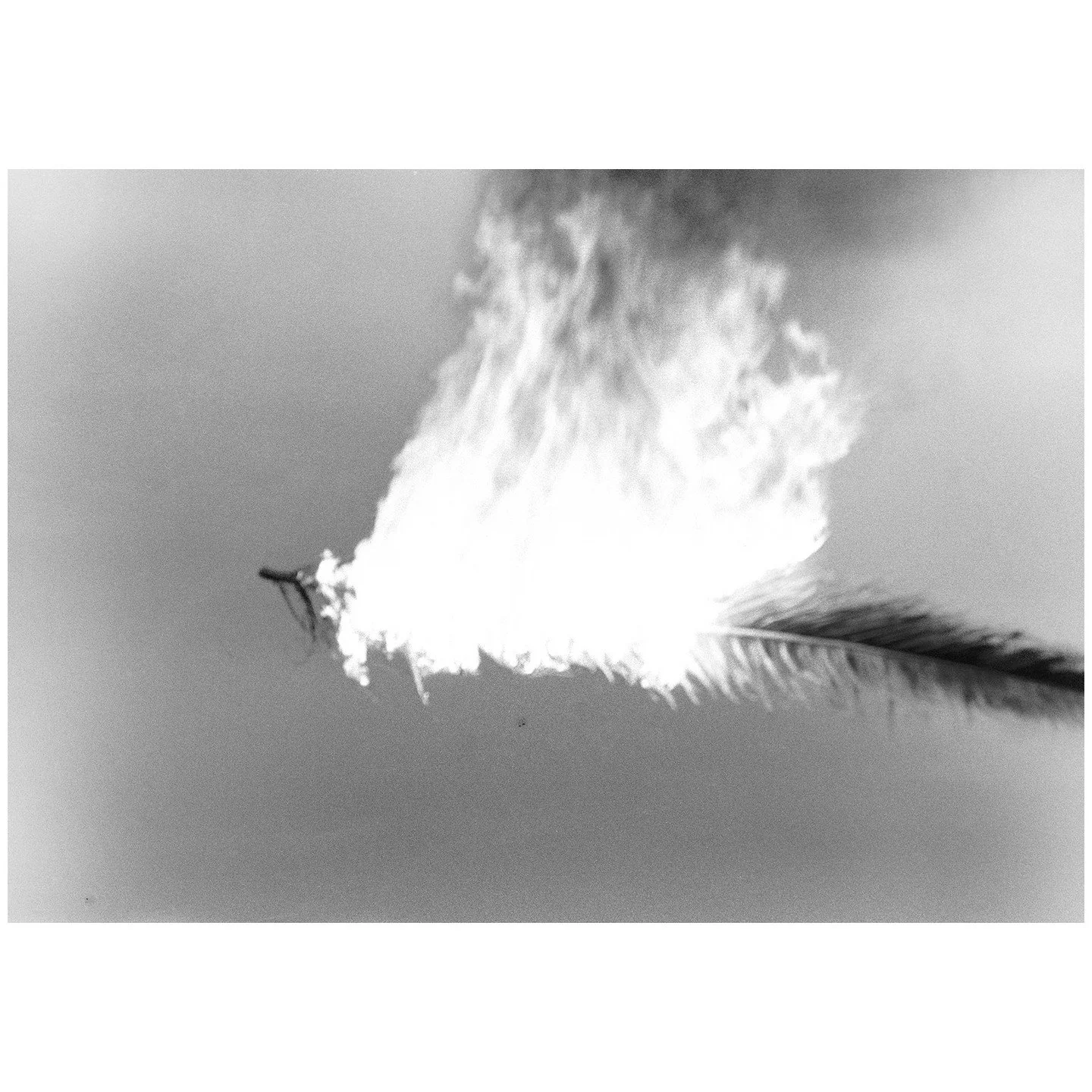 Hannah Villiger, Arbeit, 1975, Schwarz-Weiss Fotografie, 70 x 100 cm, Stiftung THE ESTATE OF HANNAH VILLIGER &copy; Stiftung THE ESTATE OF HANNAH VILLIGER 

Die Schweizer K&uuml;nstlerin Hannah Villiger (1951&ndash;1997) verstand sich stets als Bildh