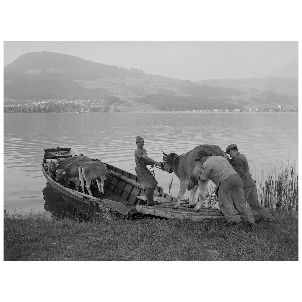 Alp-Fahrt mit dem Schiff, Insel Ufenau 1959. Foto: Milou Steiner &copy; StAAG/Ringier Bildarchiv

Milou Steiner (1915&ndash;1994) war kein Paparazzo &ndash; sondern ein Fotograf, der das Leben im Alltag festhielt. Ob in der Eigernordwand, bei Louis A
