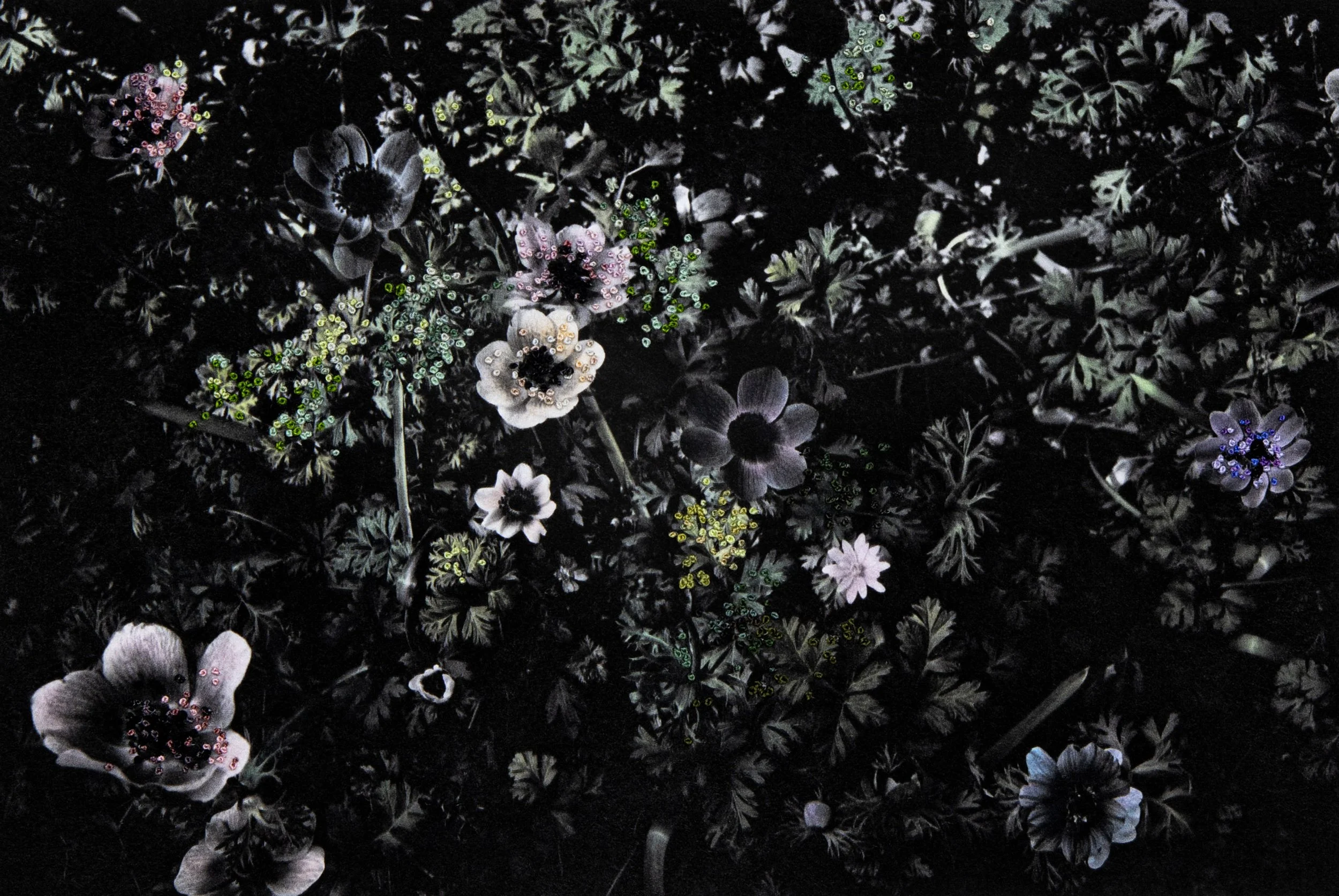 Die Heilung der Linien: Über die Zerbrechlichkeit in Aimée Hovings «Binding Roots»