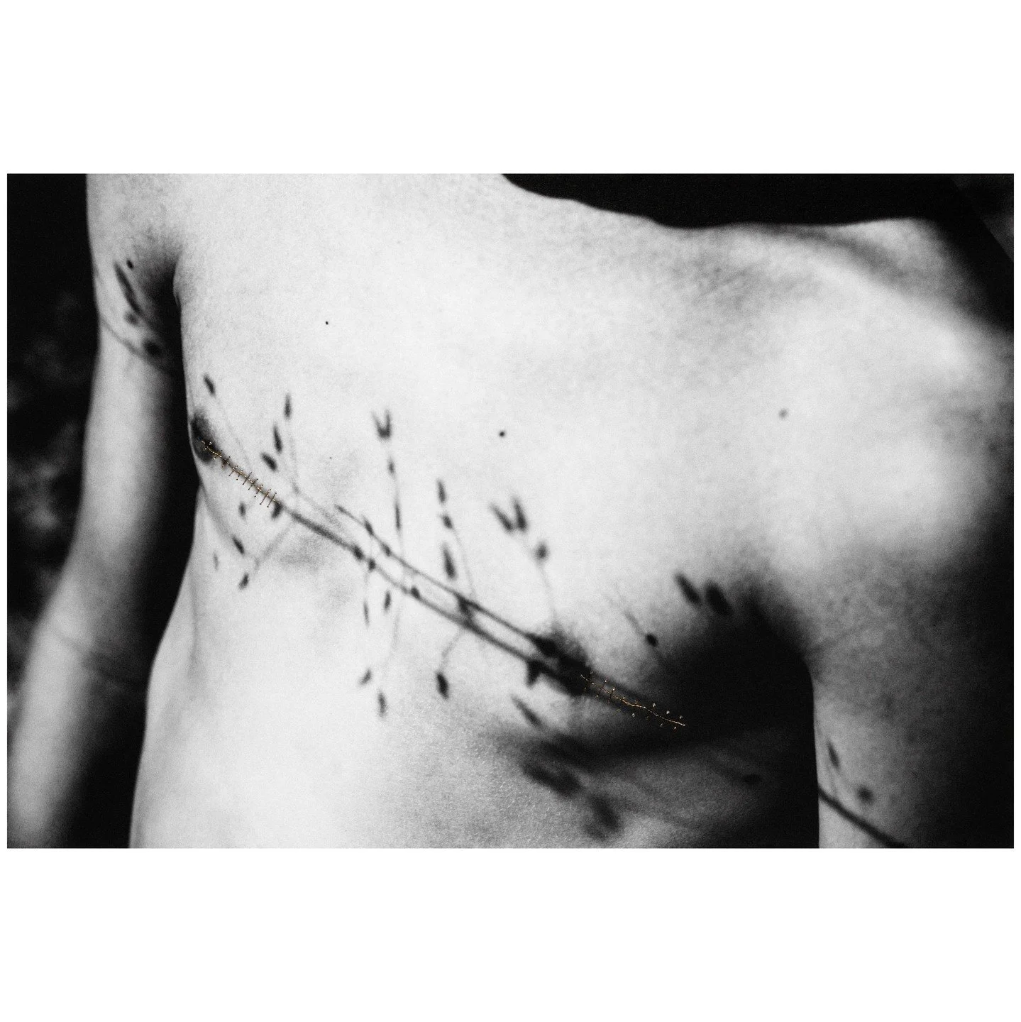 R&eacute;surgence, de la s&eacute;rie Family Affair &copy; Aim&eacute;e Hoving

In &laquo;Family Affair&raquo; richtet Aim&eacute;e Hoving das Objektiv auf das Intimste: ihre eigene Familie. Die Serie ist eine ber&uuml;hrende Auseinandersetzung mit I