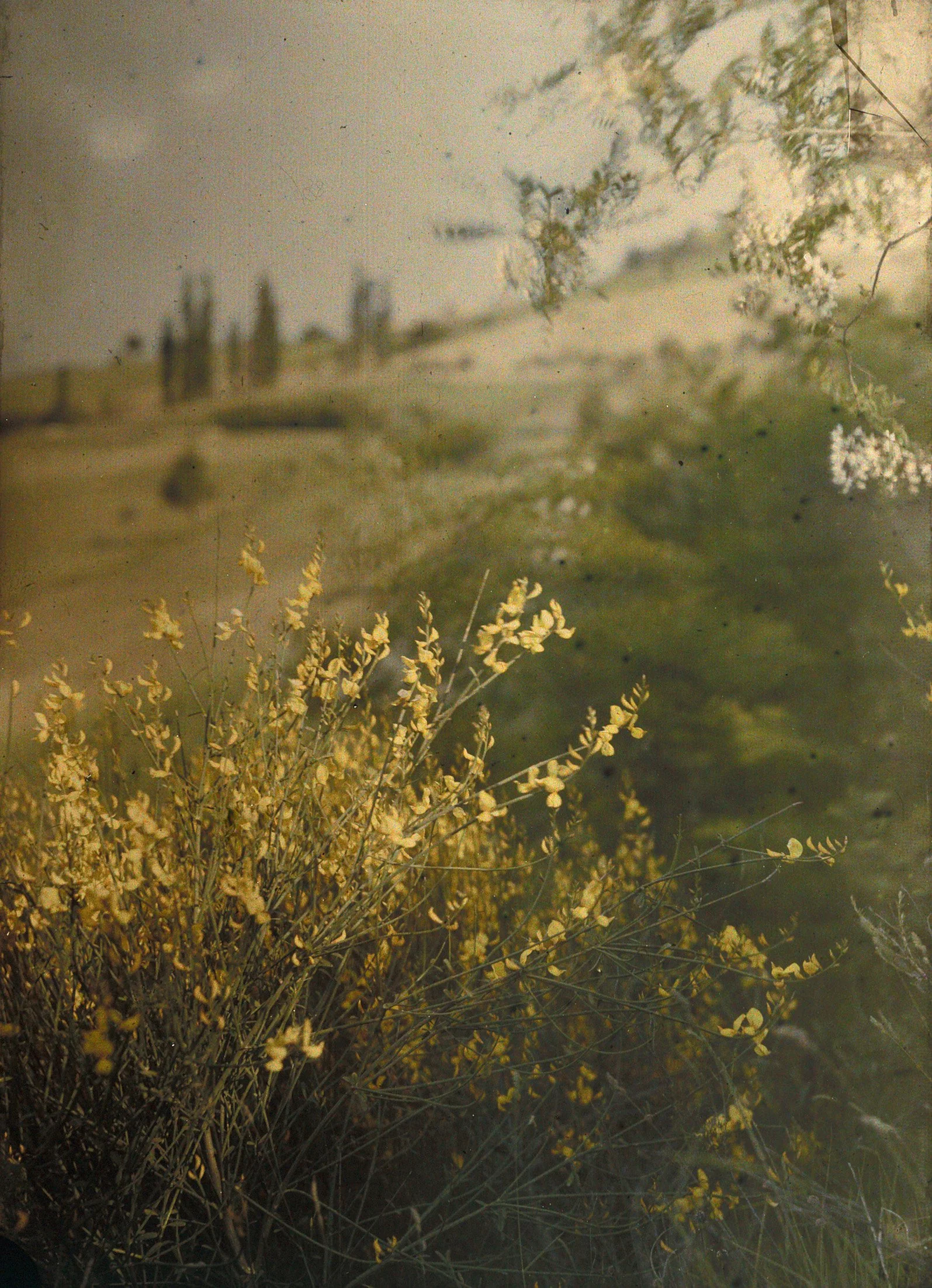 Frauen. Fragen. Fotoarchive. – Ein längst fälliger Blick in das Depot der Fotostiftung Schweiz...