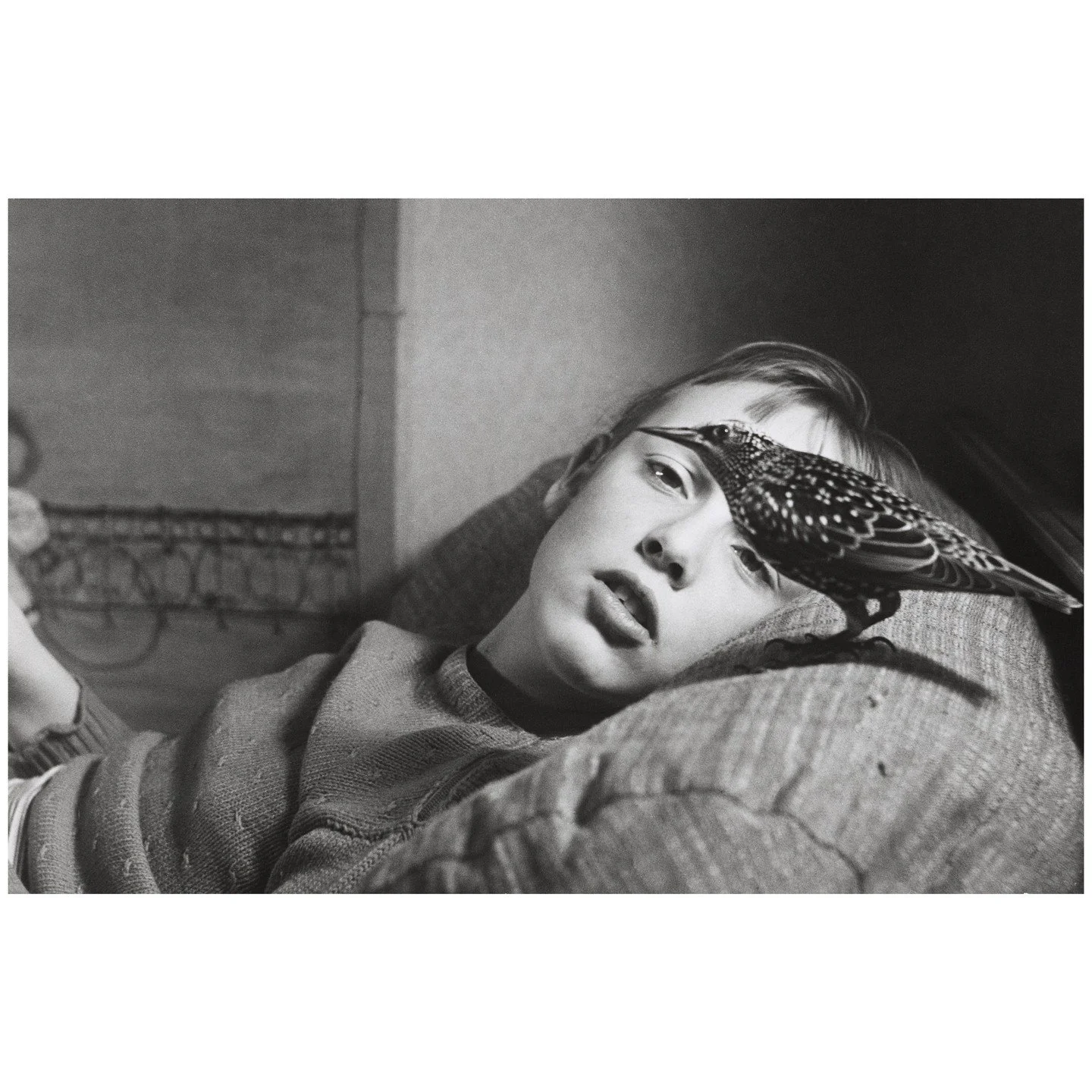 Marie Ottomann-Rothacher, Zahmer Star, 1956 &copy; Marie Ottomann-Rothacher / Fotostiftung Schweiz

Frauen. Fragen. Fotoarchive. 

Es ist eine stille, aber tiefgreifende Diskrepanz, die in den Speichern unserer Ged&auml;chtnisinstitutionen schlummert