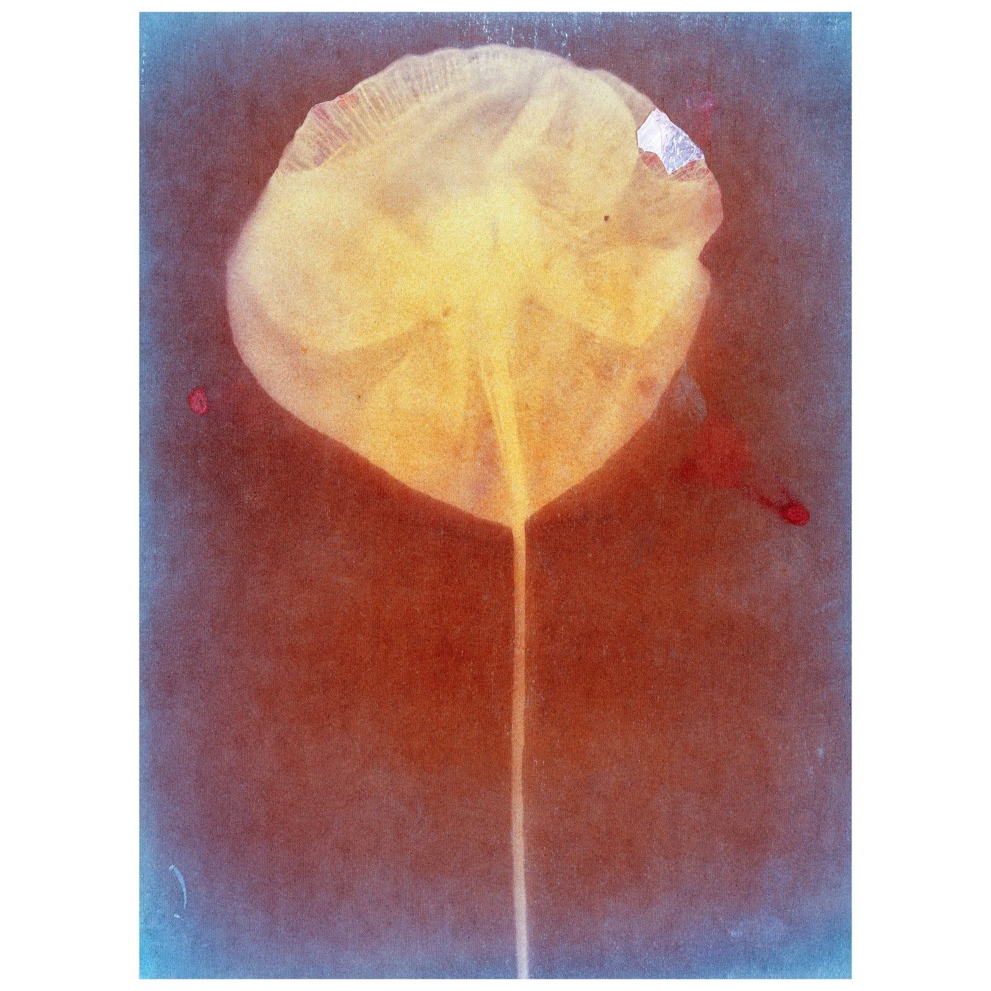 Ohne Titel, aus Fl&uuml;gelschlag, 2020&ndash;2024 &copy; Ester Vonplon

Was diese Bilder so eindringlich macht, ist die Verbindung aus achtsamer Beobachtung und radikalem fotografischem Experiment. In der titelgebenden Serie &laquo;Fl&uuml;gelschlag