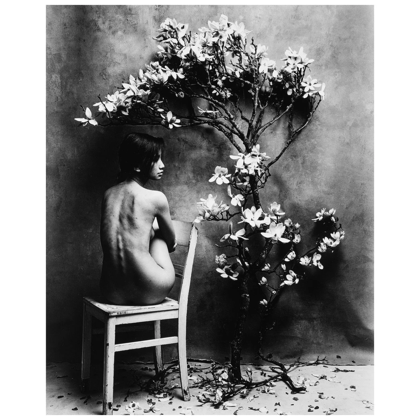 Self-Portrait, 2021 &copy; Kim Schwanhaeusser

Die Unendlichkeit im Augenblick: Sehnsucht und Nostalgie

In der zeitgen&ouml;ssischen Fotografie ist die Entscheidung f&uuml;r das Analoge ein Bekenntnis zum Handwerk. Doch was Kim Schwanhaeusser auszei