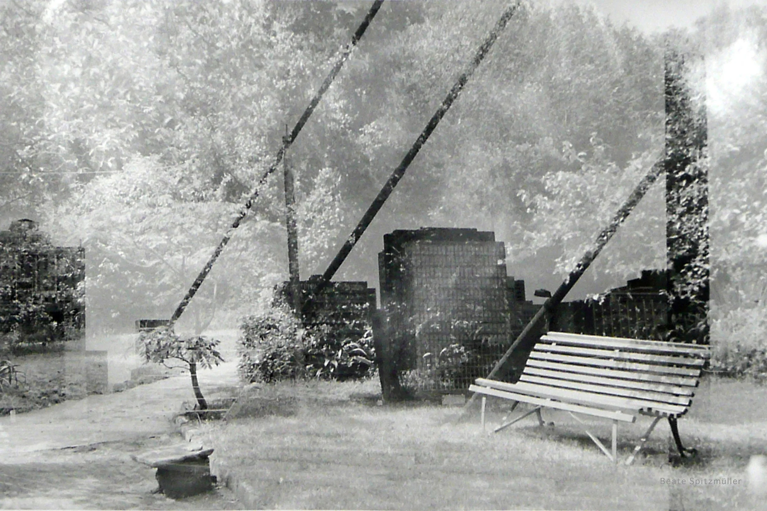 Die Architektur des Sehens…