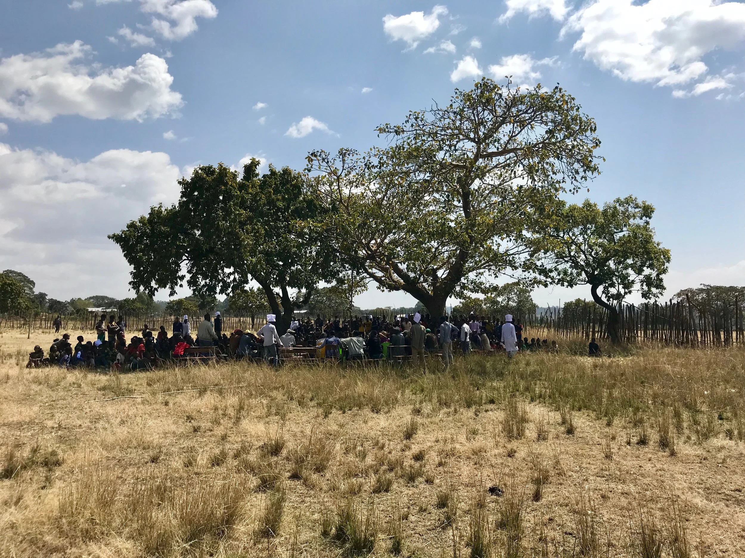 Students, teachers, community leaders, and representatives from Friends of Homacho gather for an all-school assembly under a tree in the middle of the school yard.