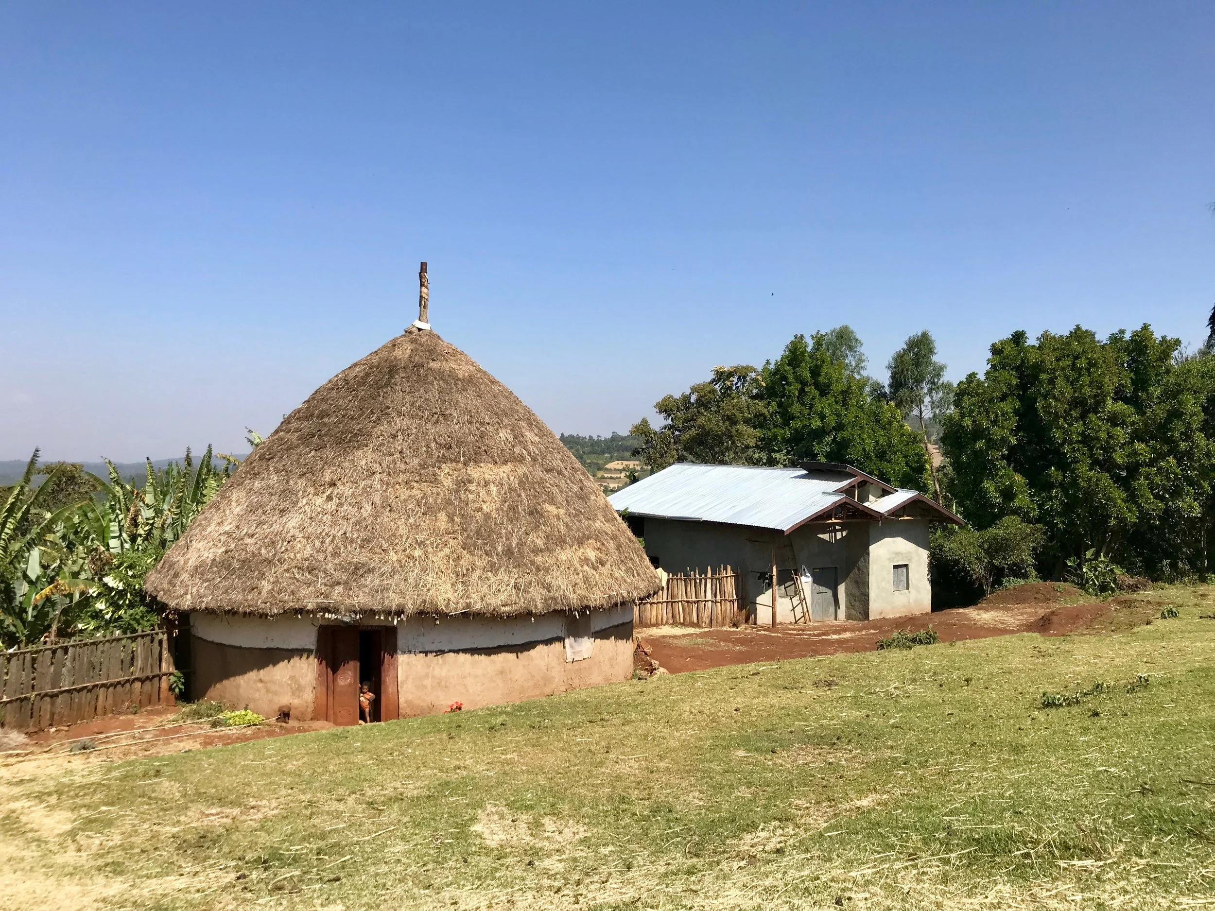 A hut on the trail to the new Hadera spring.