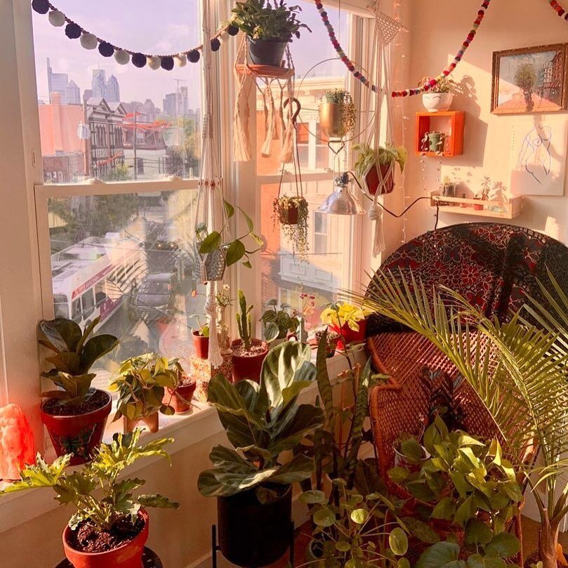Plants, sunset, and the Philly skyline: what more could you want? 🌆🌿

Do you have a cozy plant corner, or is your whole apartment covered in plants? We want to see! Tag us in photos of your urban jungle or use #urbanjunglephilly so we can check it 
