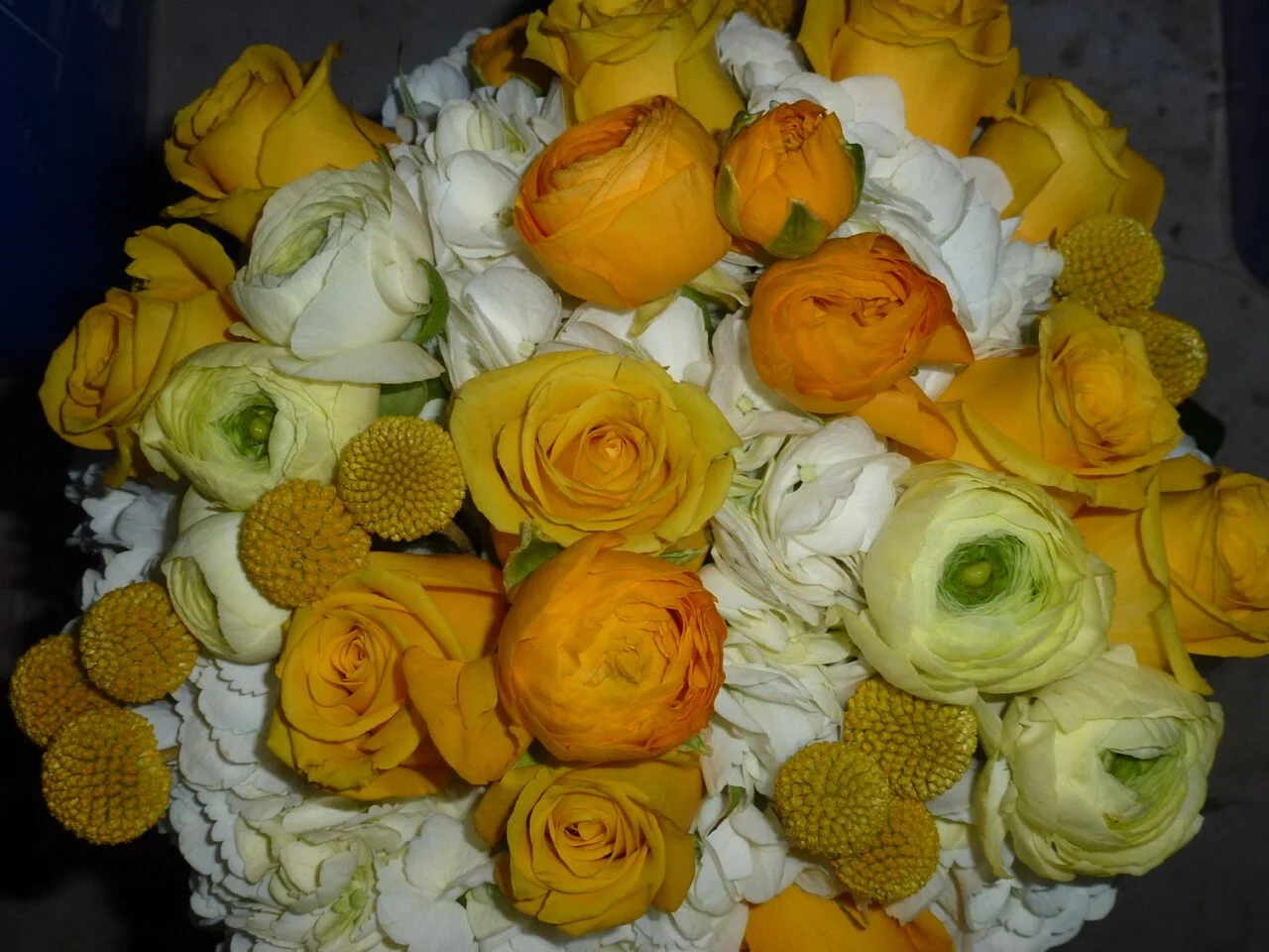roses2.jpeg