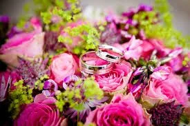 roses7.jpeg