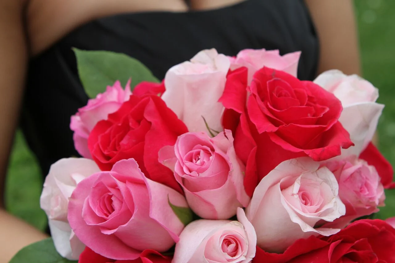 roses10.jpeg