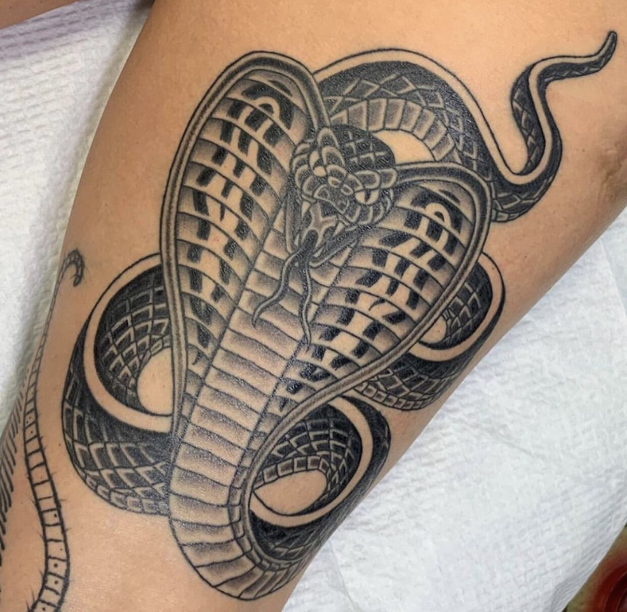 Cobra-Tattoo-Traditional-Stephen-Costello-Great-Wave-Tattoo-Austin-Texas.jpg