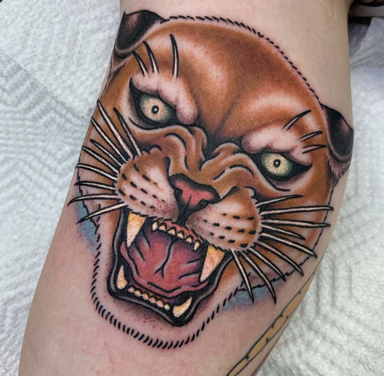 Cat-Face-Tattoo-Traditional-Stephen-Costello-Great-Wave-Tattoo-Austin-Texas.jpg