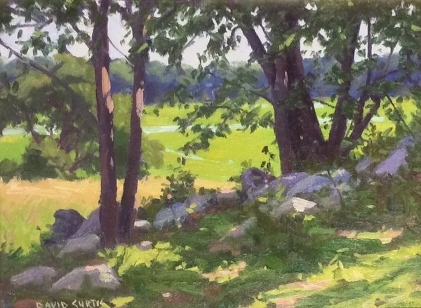 DAVID P. CURTIS and LORWEN 'CONNIE’ NAGLE: Sight & Insight ‘Pictorial Quality’ Composition Workshop