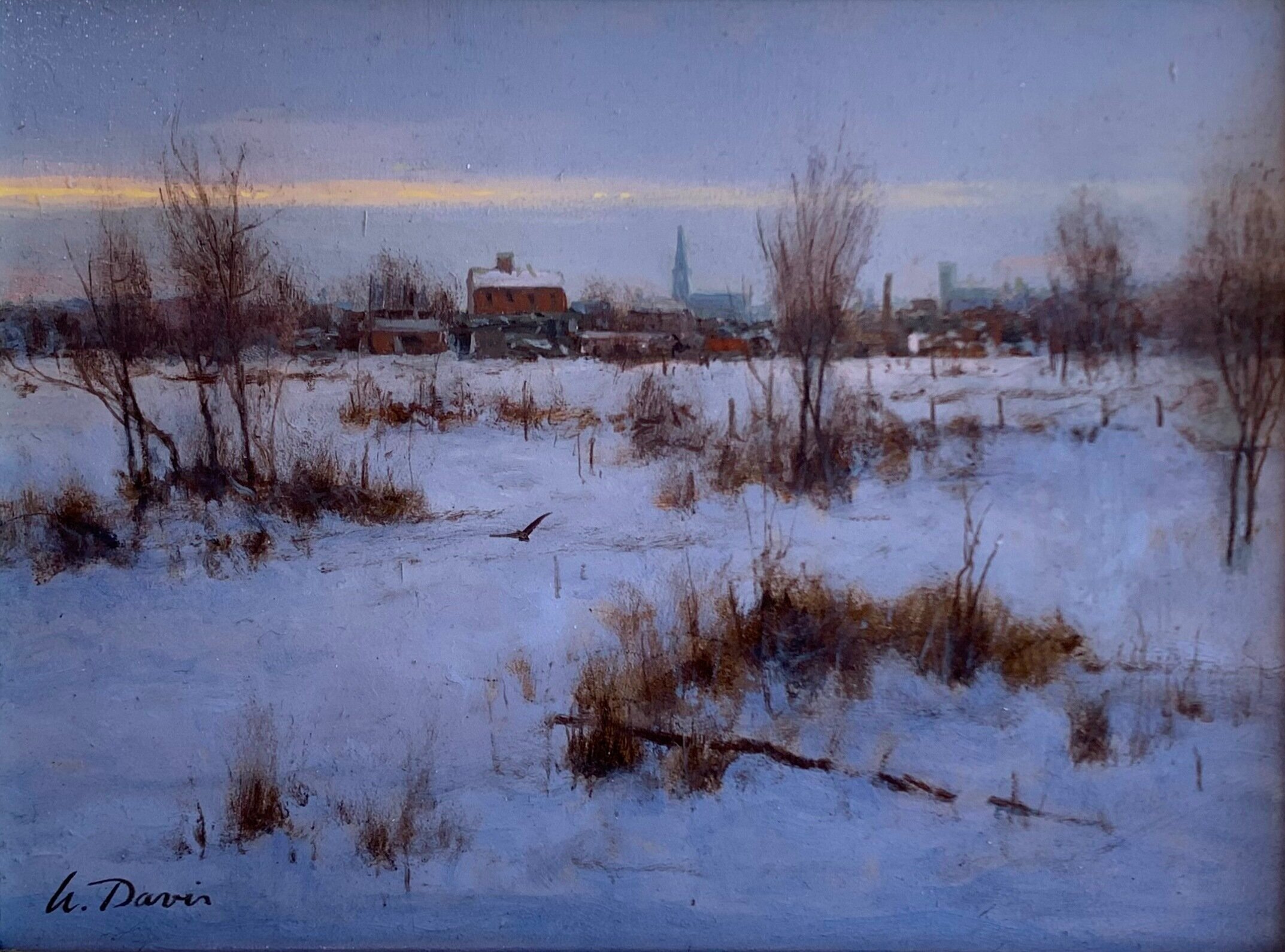 January Field