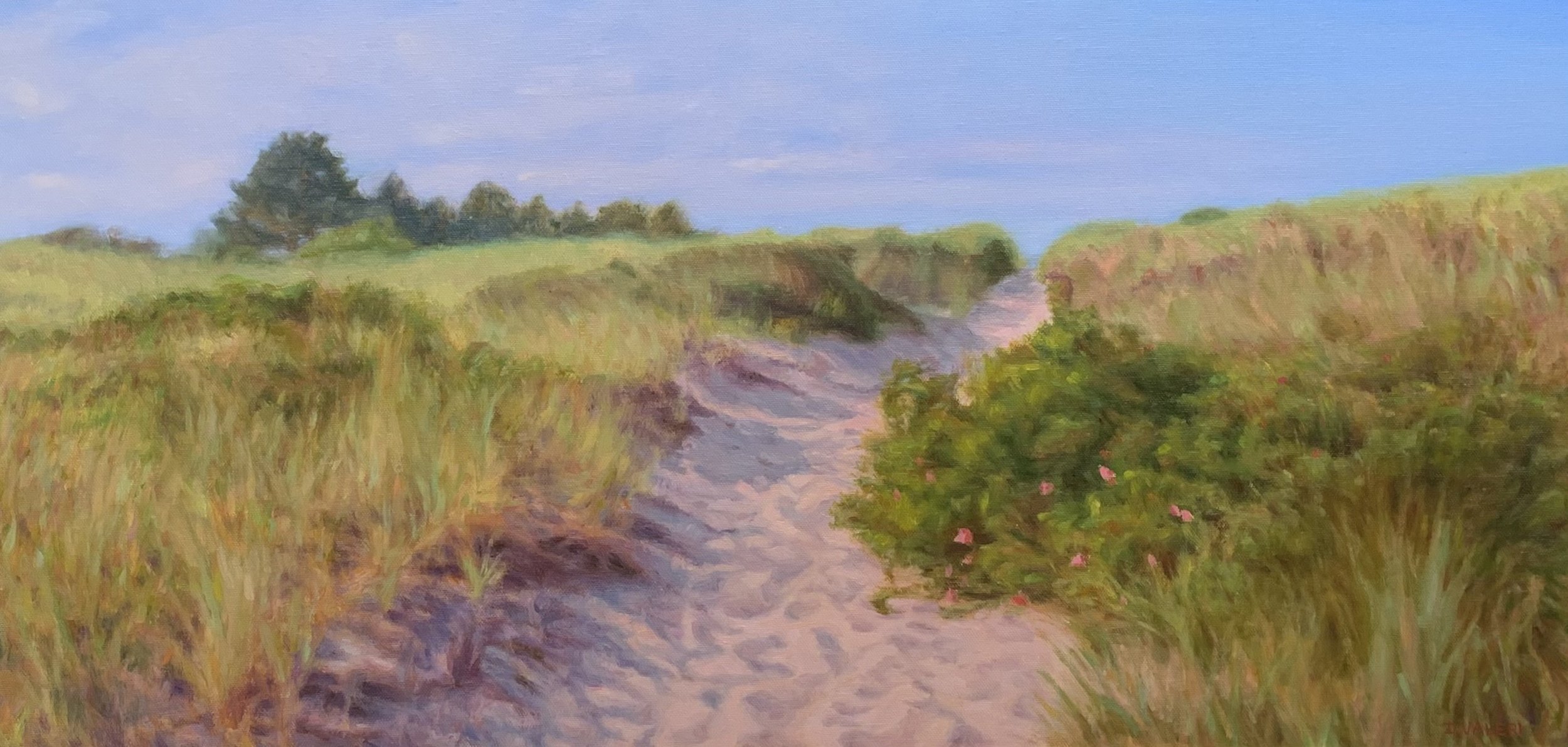 Uphill Path Through Dunes