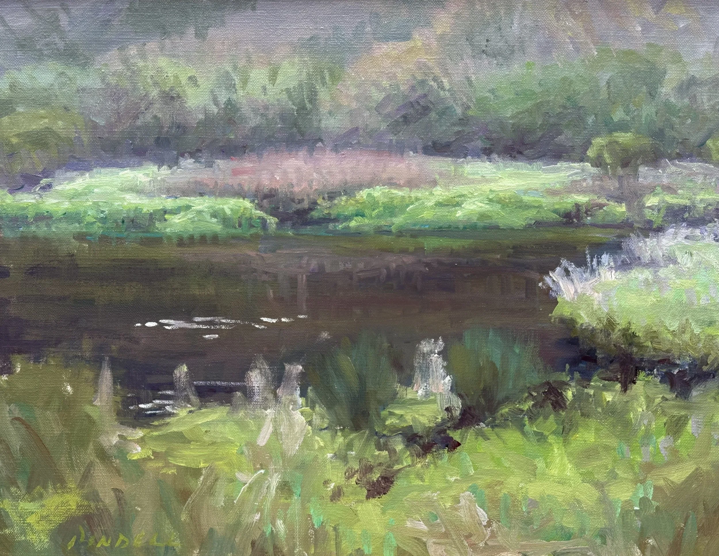 Pond in Fog, Nantucket