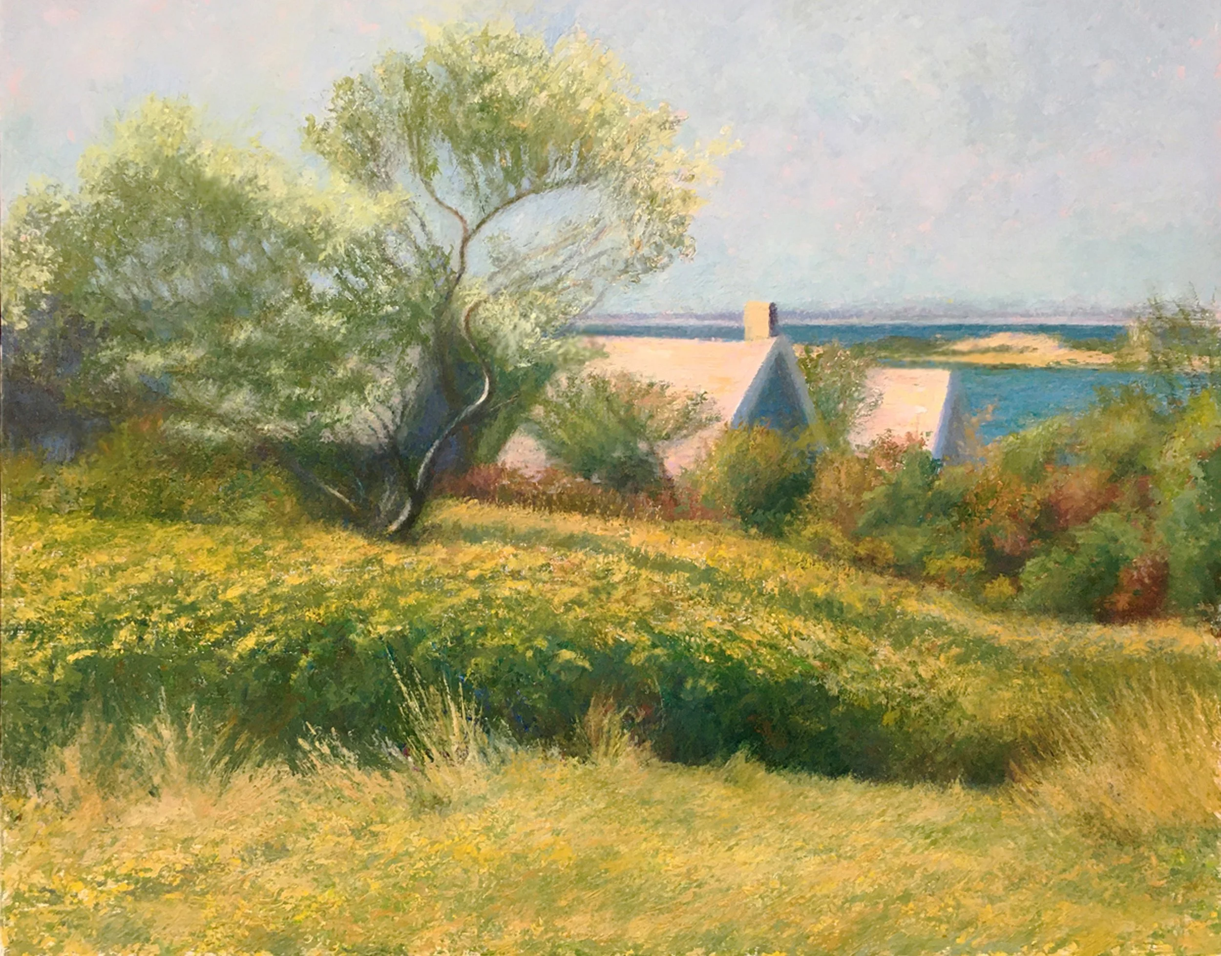 View from the Labyrinth