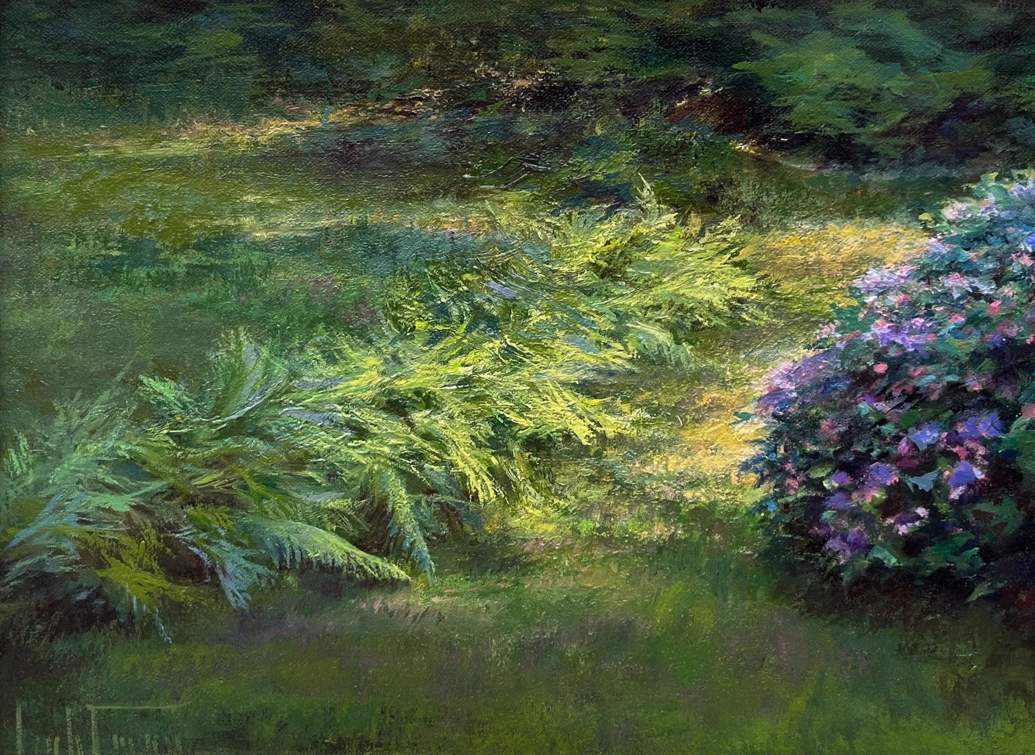 Island Ferns