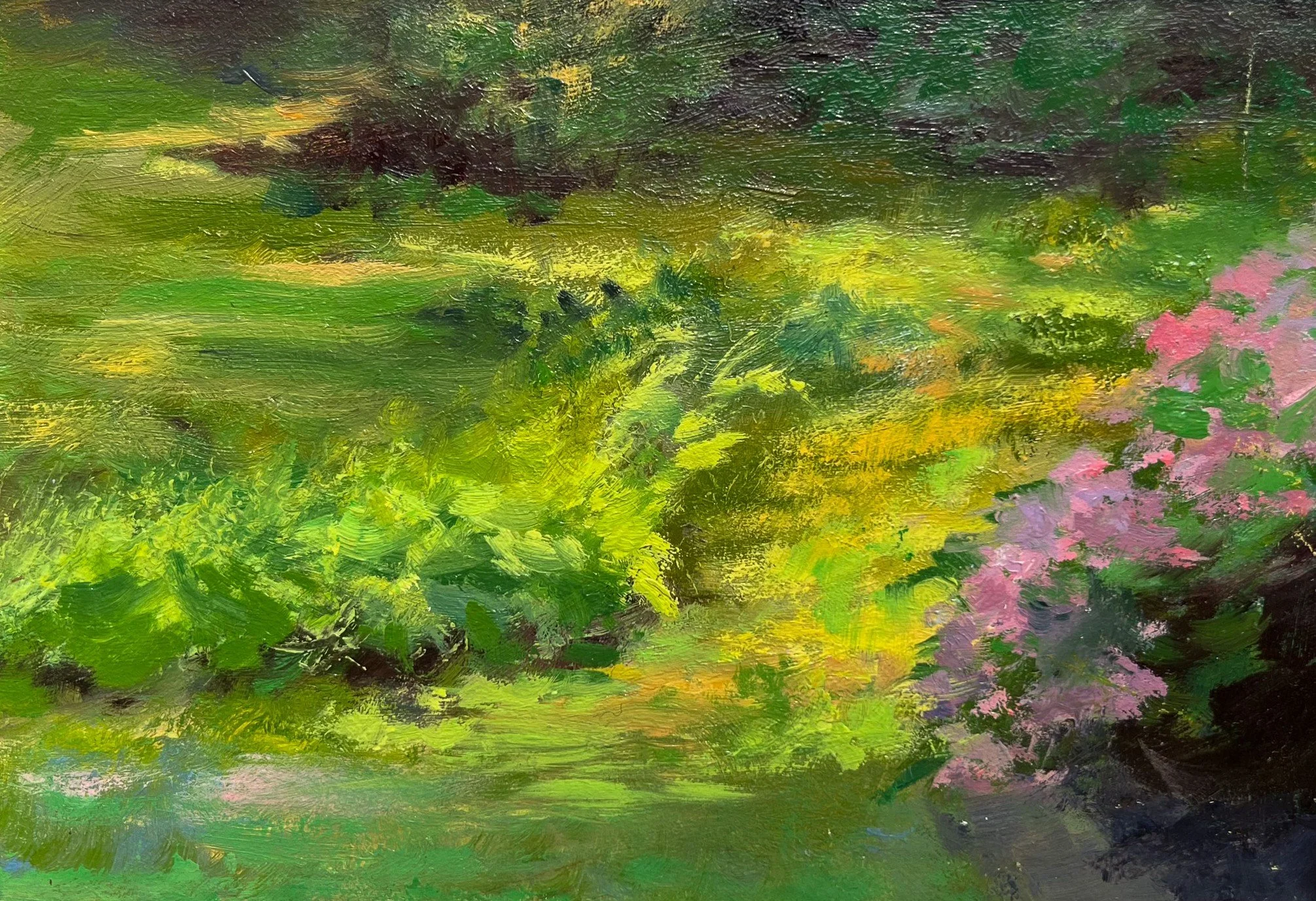 Study of Island Ferns