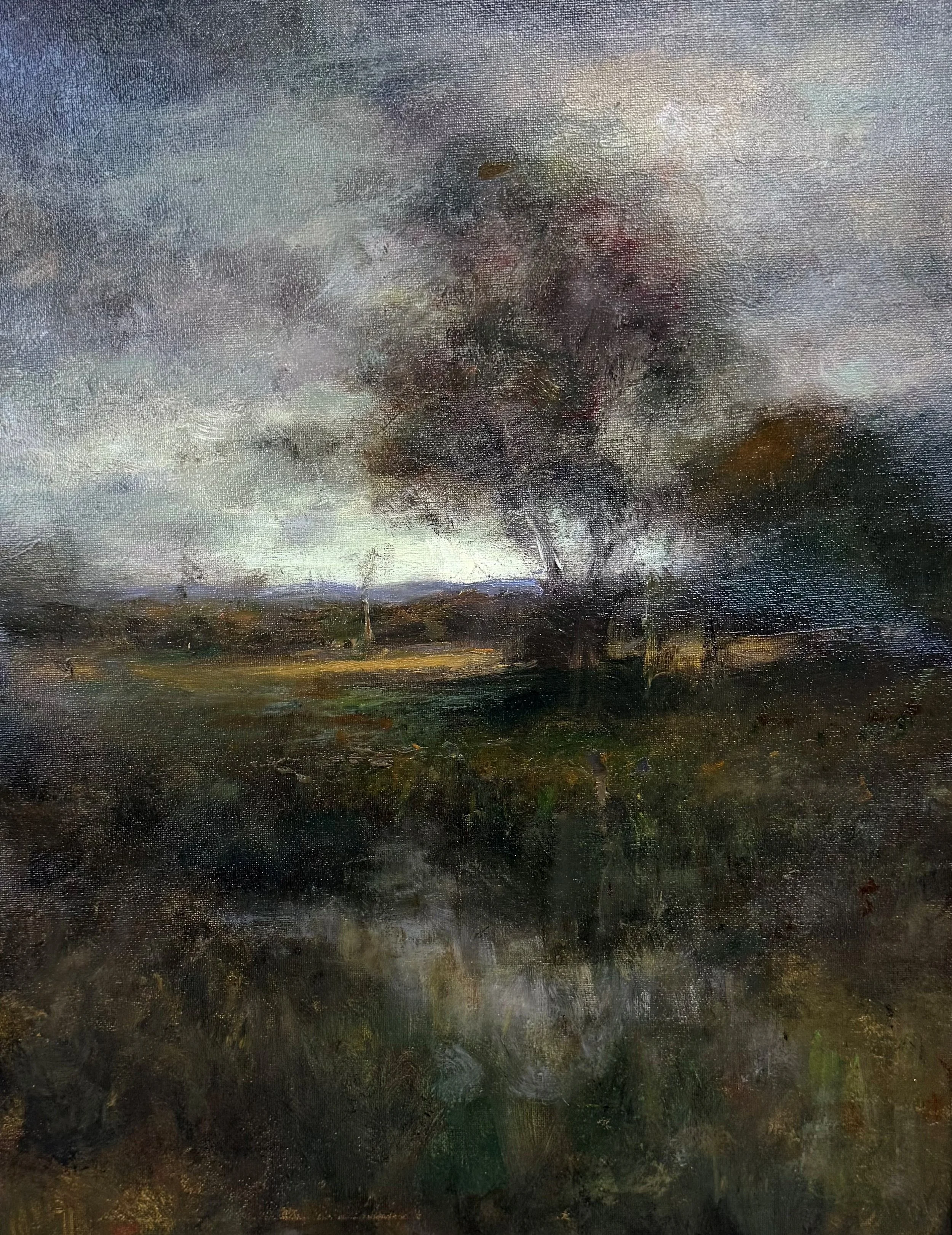 In the Realm of Wyant