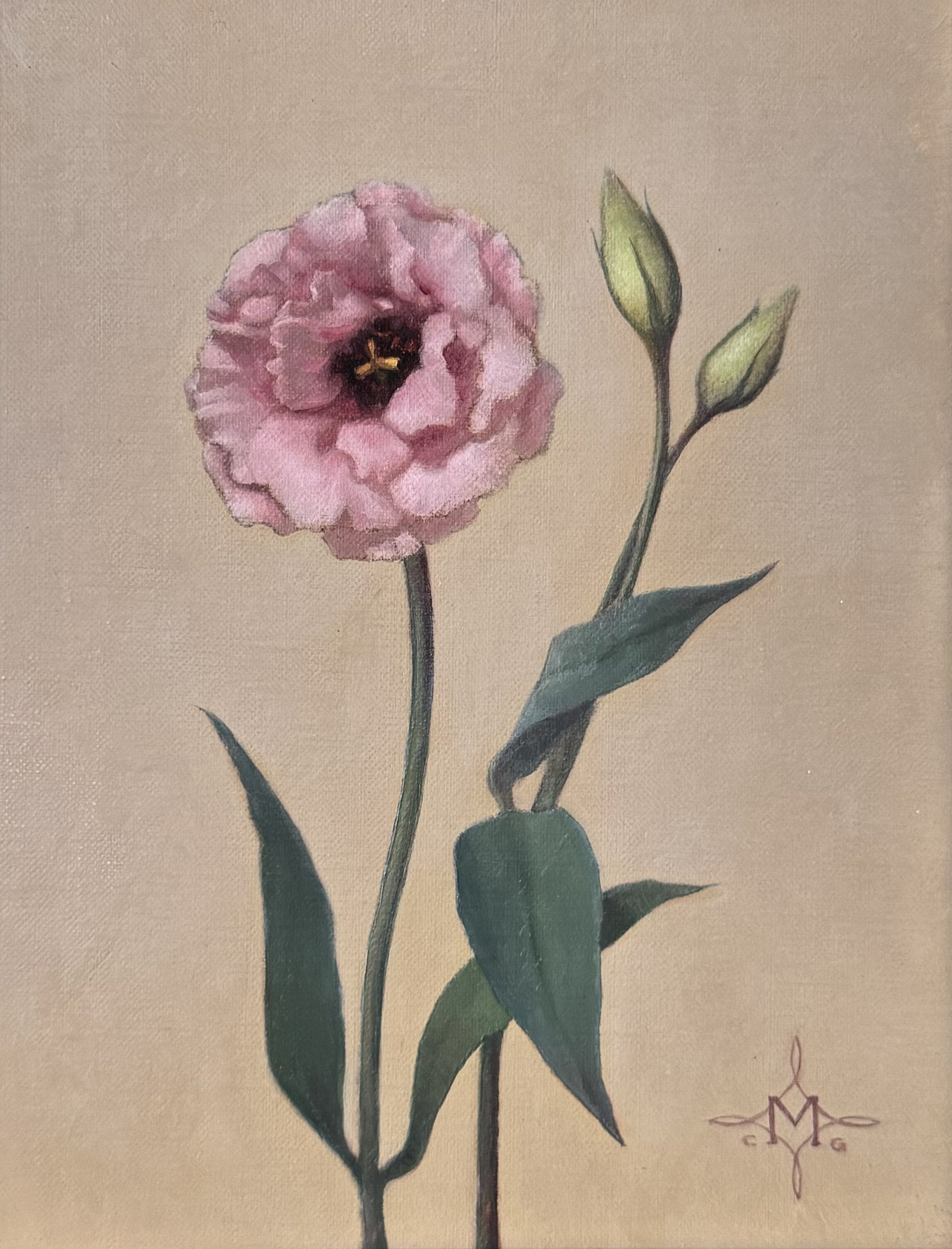 Pink Lisianthus in Bloom