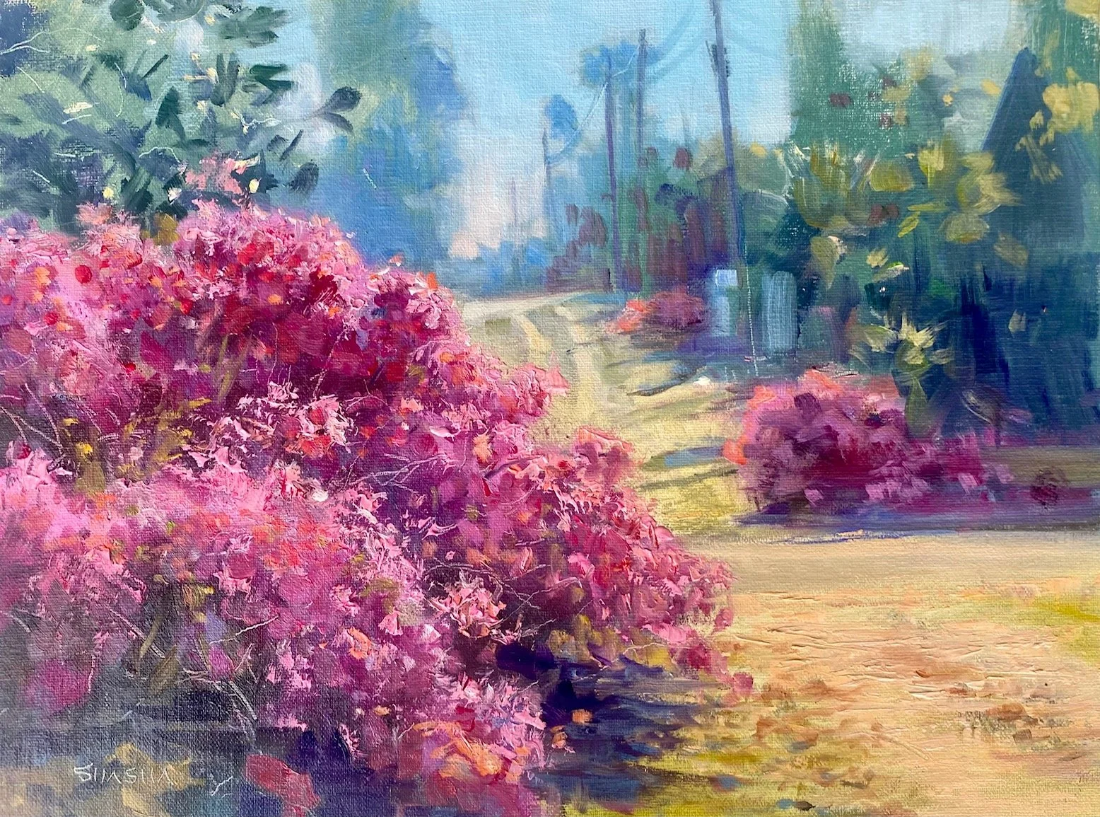 Spring Blooms