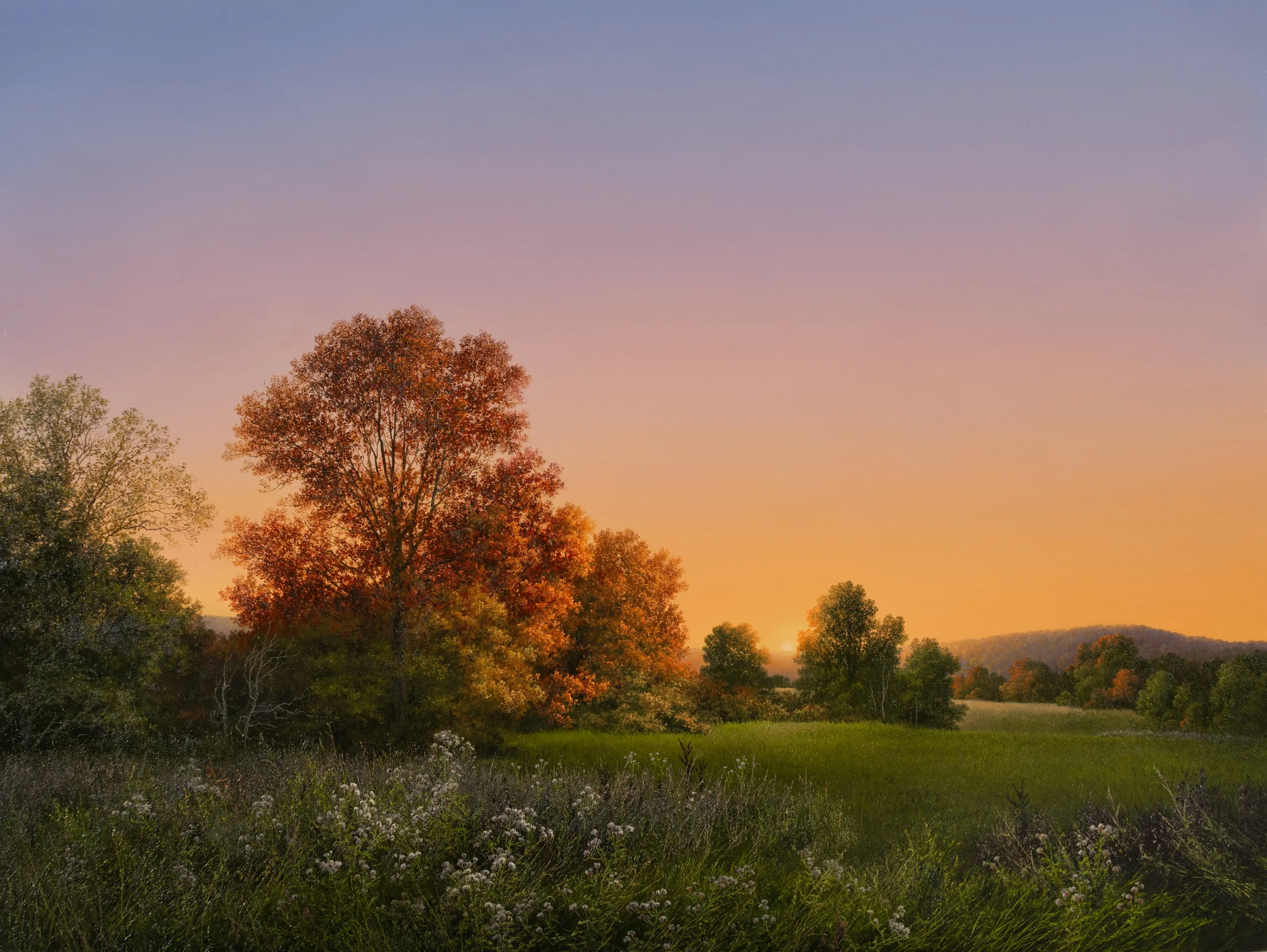 At the Edge of Stillness