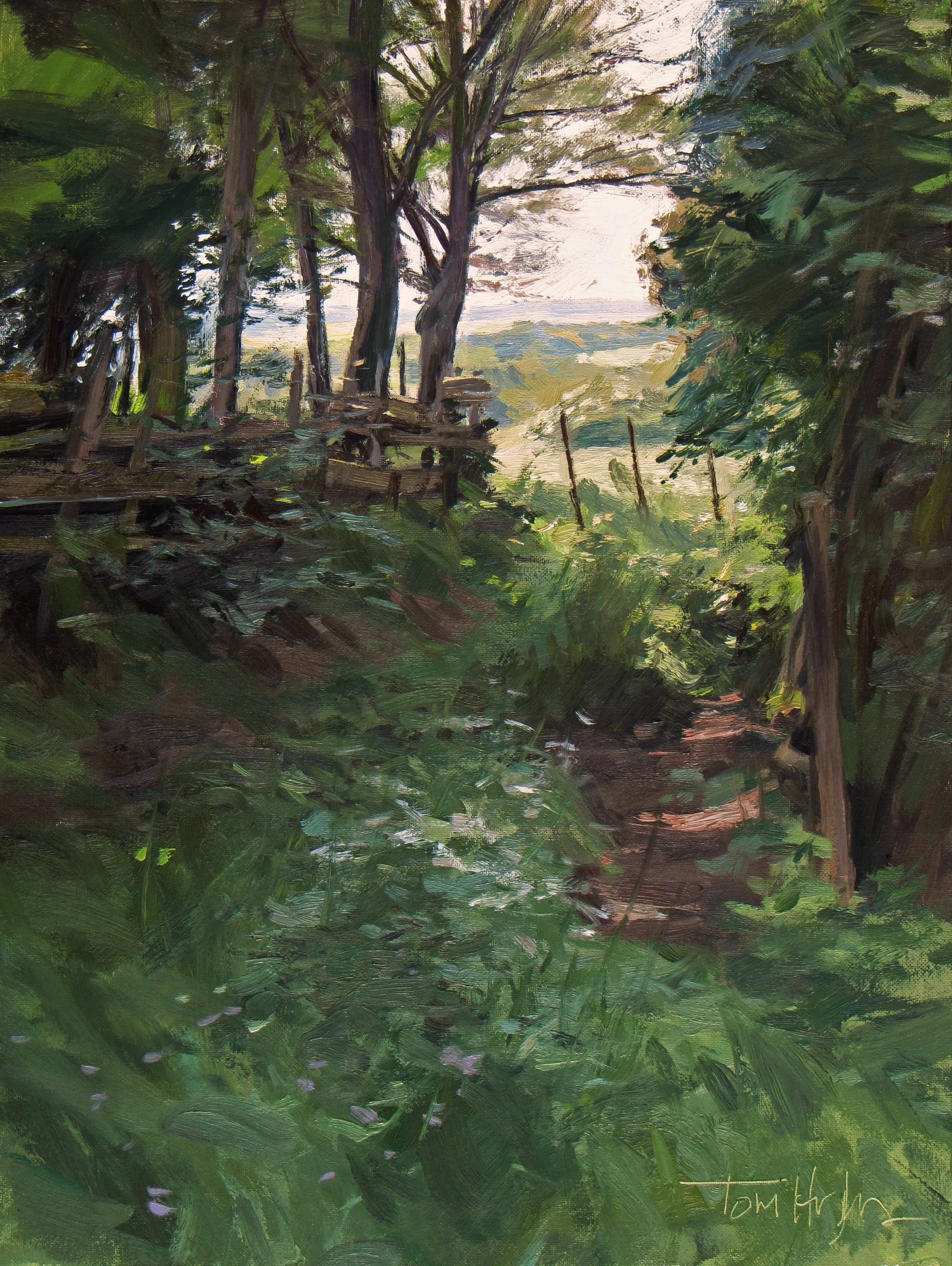 Path to the Fields
