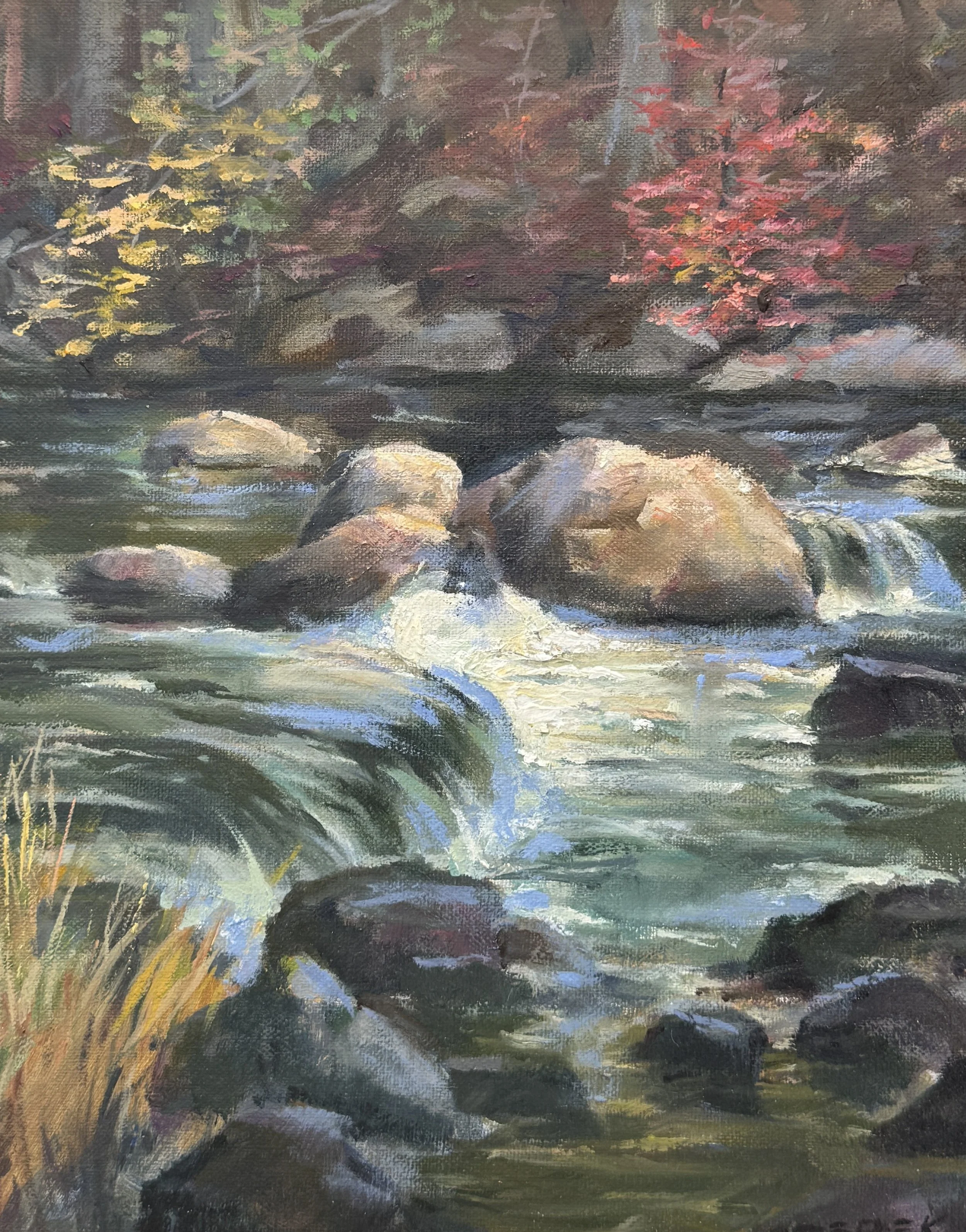 Rushing Waters