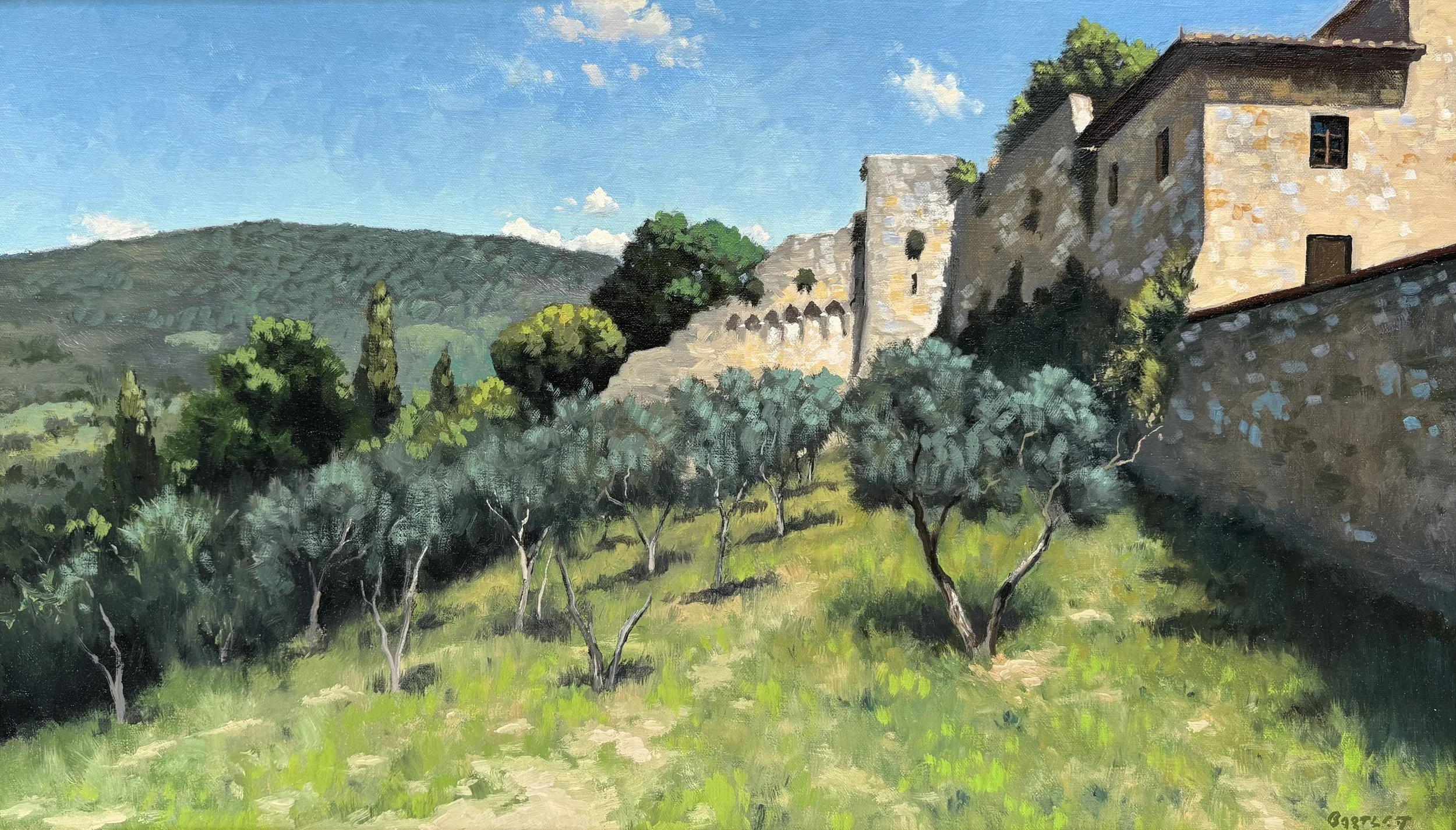 The Old Olive Grove