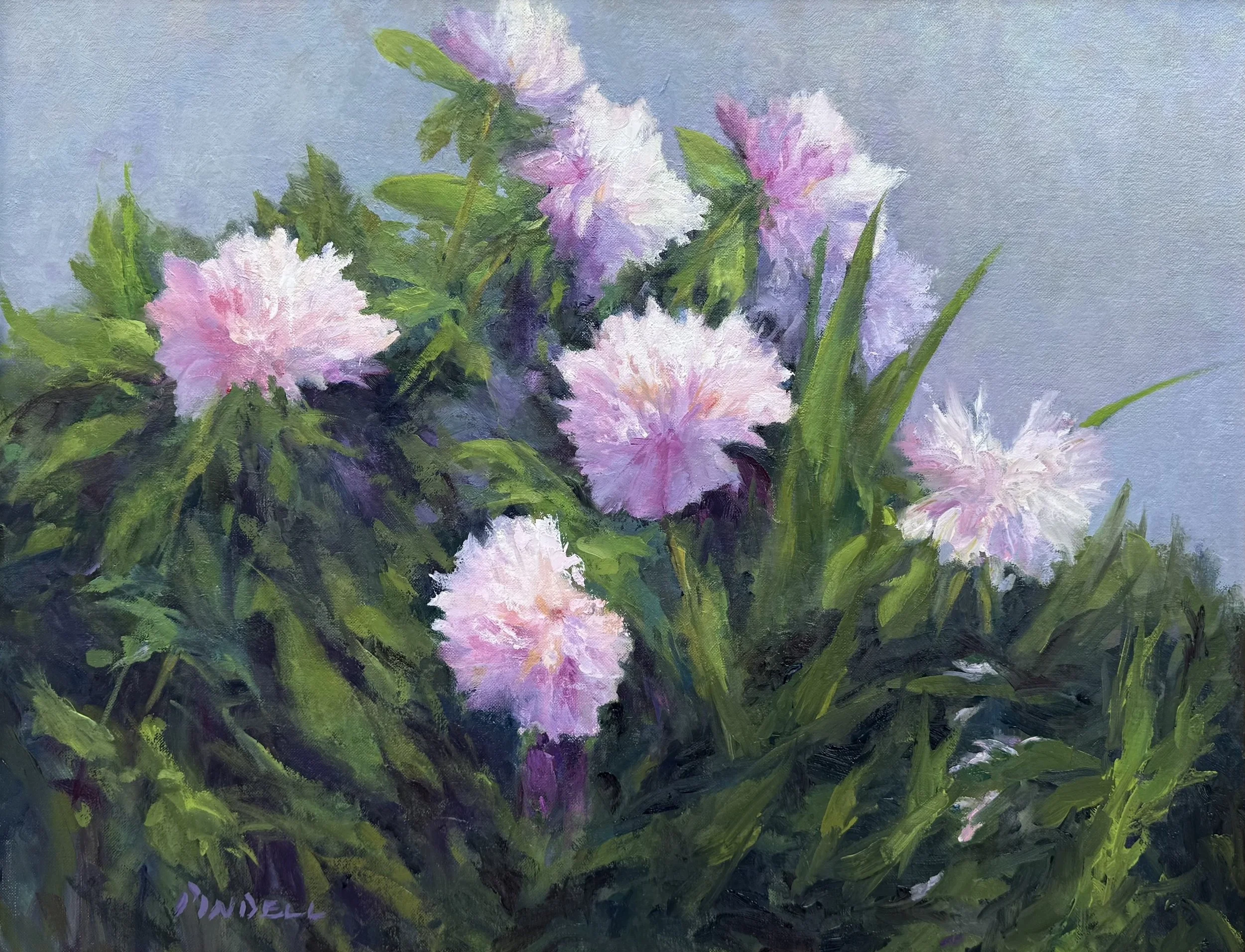Fleeting Grace