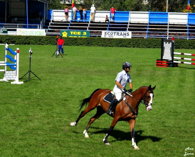 dscn0290.jpg