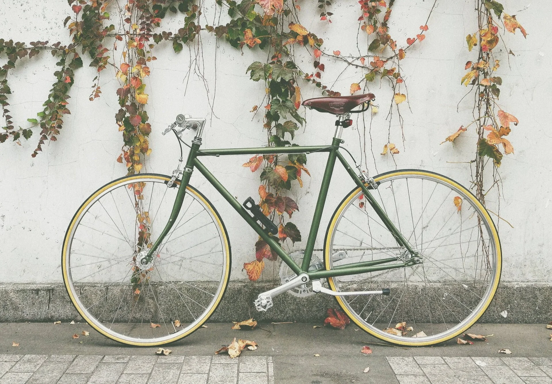 Balancing The Spokes of Life