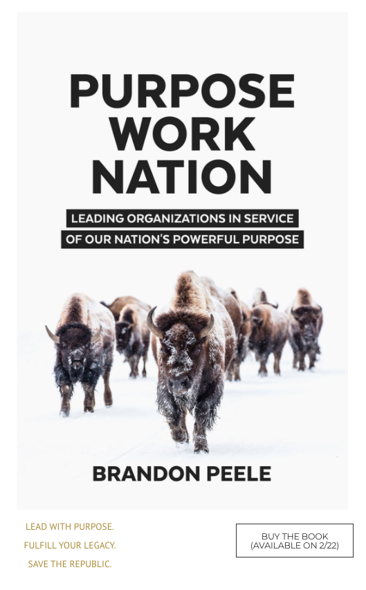 Pupose Work Nation book cover.png